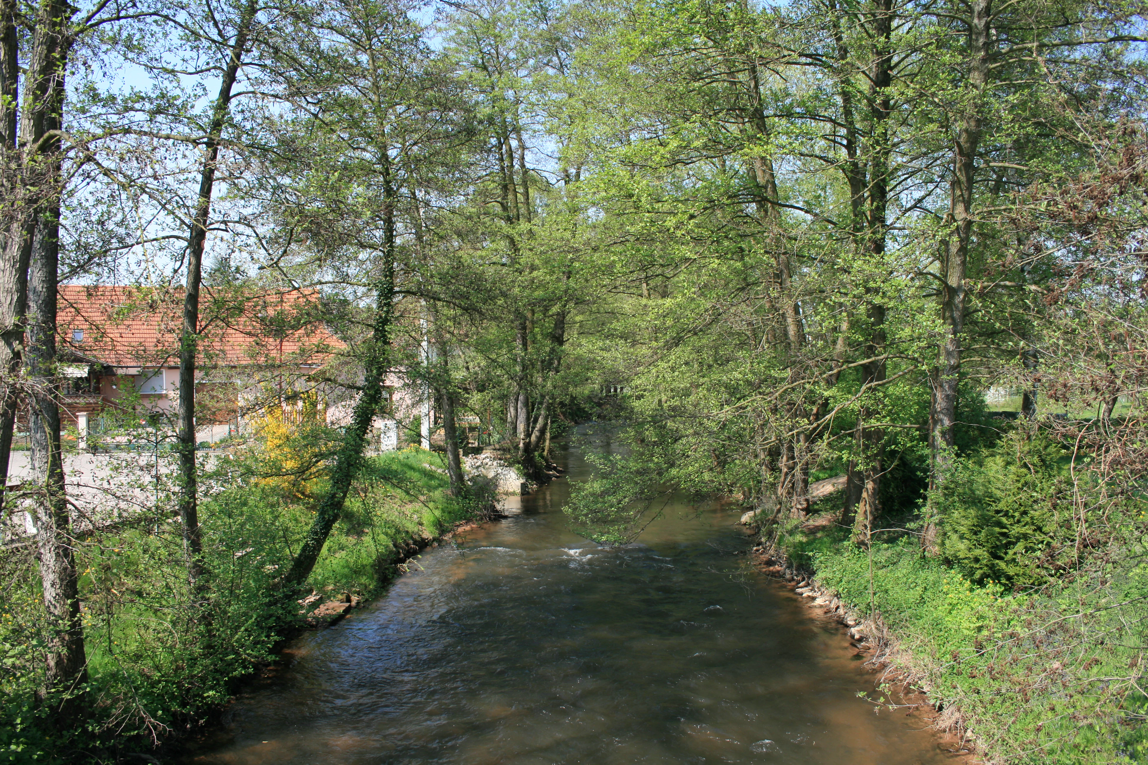 A small river flows through a dense forest with trees lining the banks and a building visible in the background.