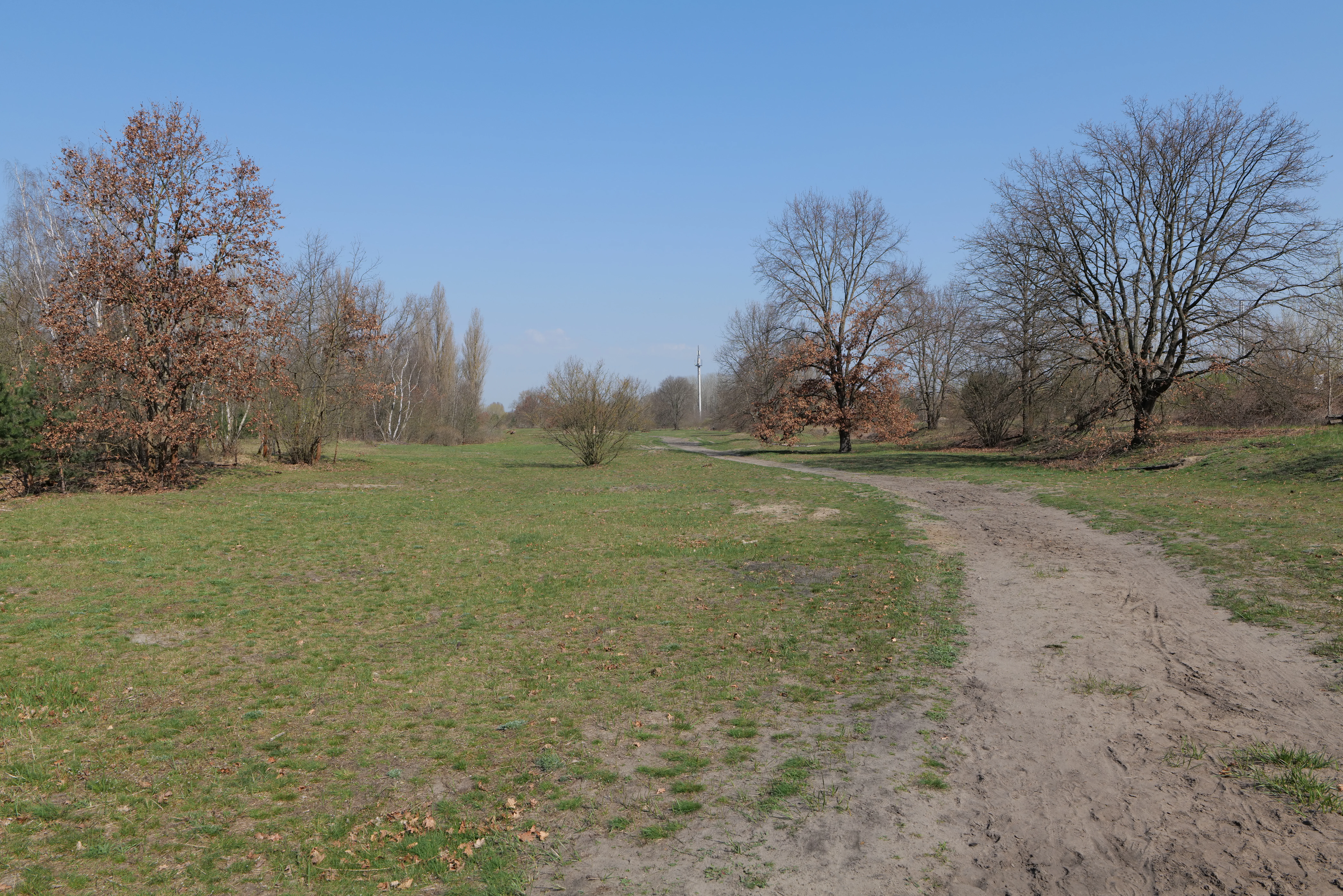 A wide, unpaved dirt path leads into a grassy, sandy landscape dotted with leafless and lightly leaved trees under a clear blue sky.