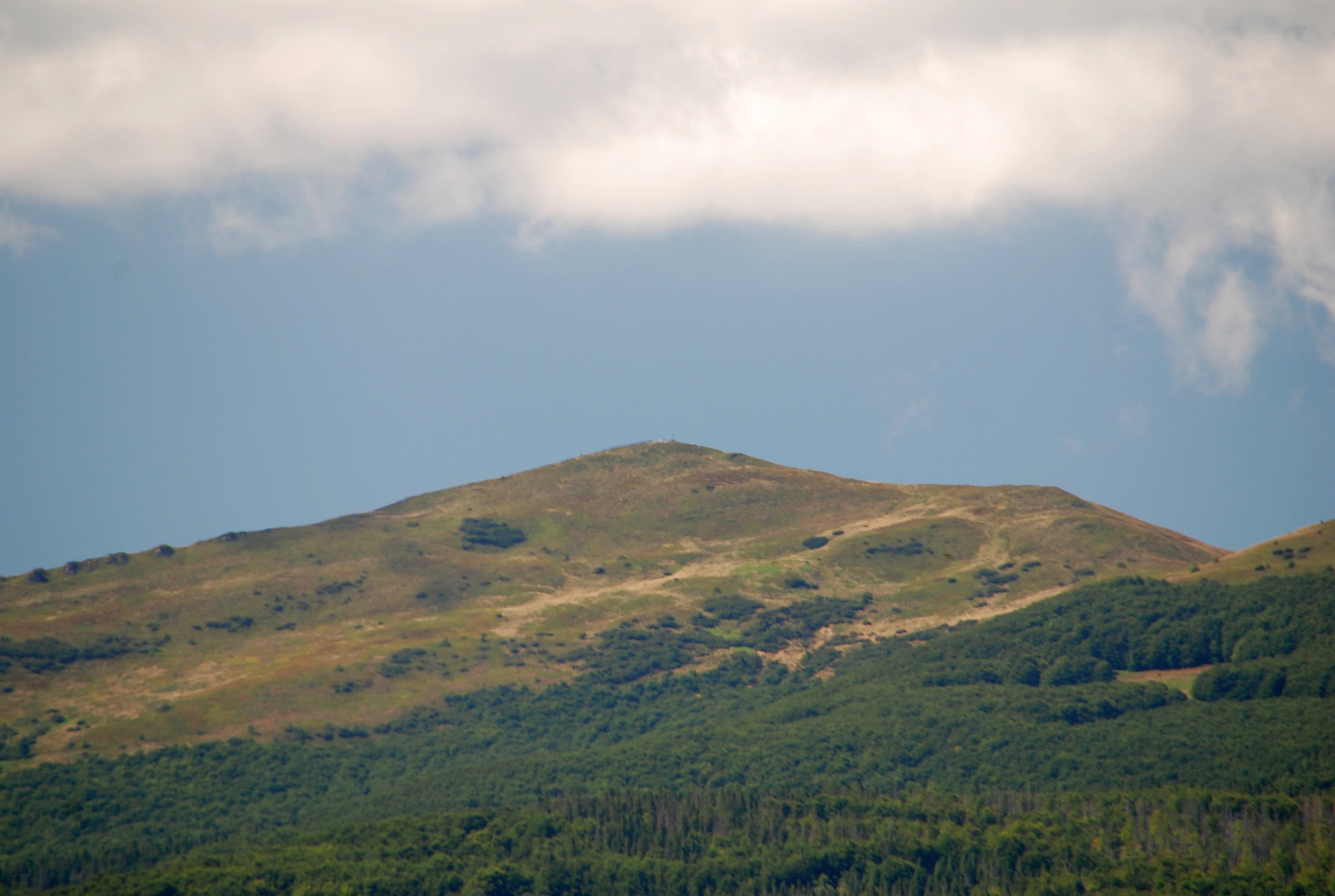 A distant view of the rounded, grassy Halicz peak in the Bieszczady mountains under a cloudy sky, with dense forest cover at the base.