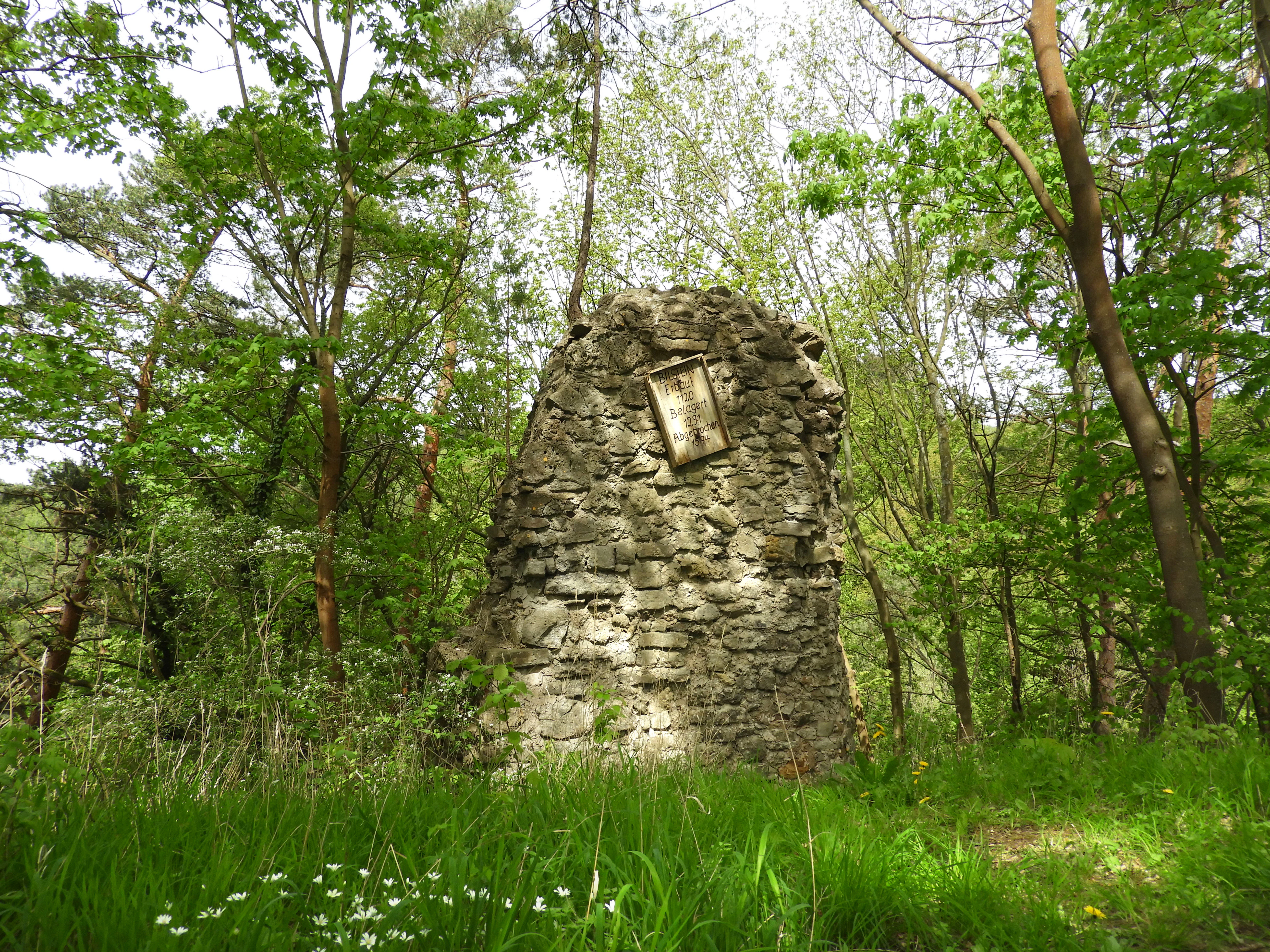 Un fragmento de muro de piedra desgastado de las ruinas del castillo de Bilstein se alza en medio de un bosque primaveral verde, con una placa rectangular incrustada en su superficie.