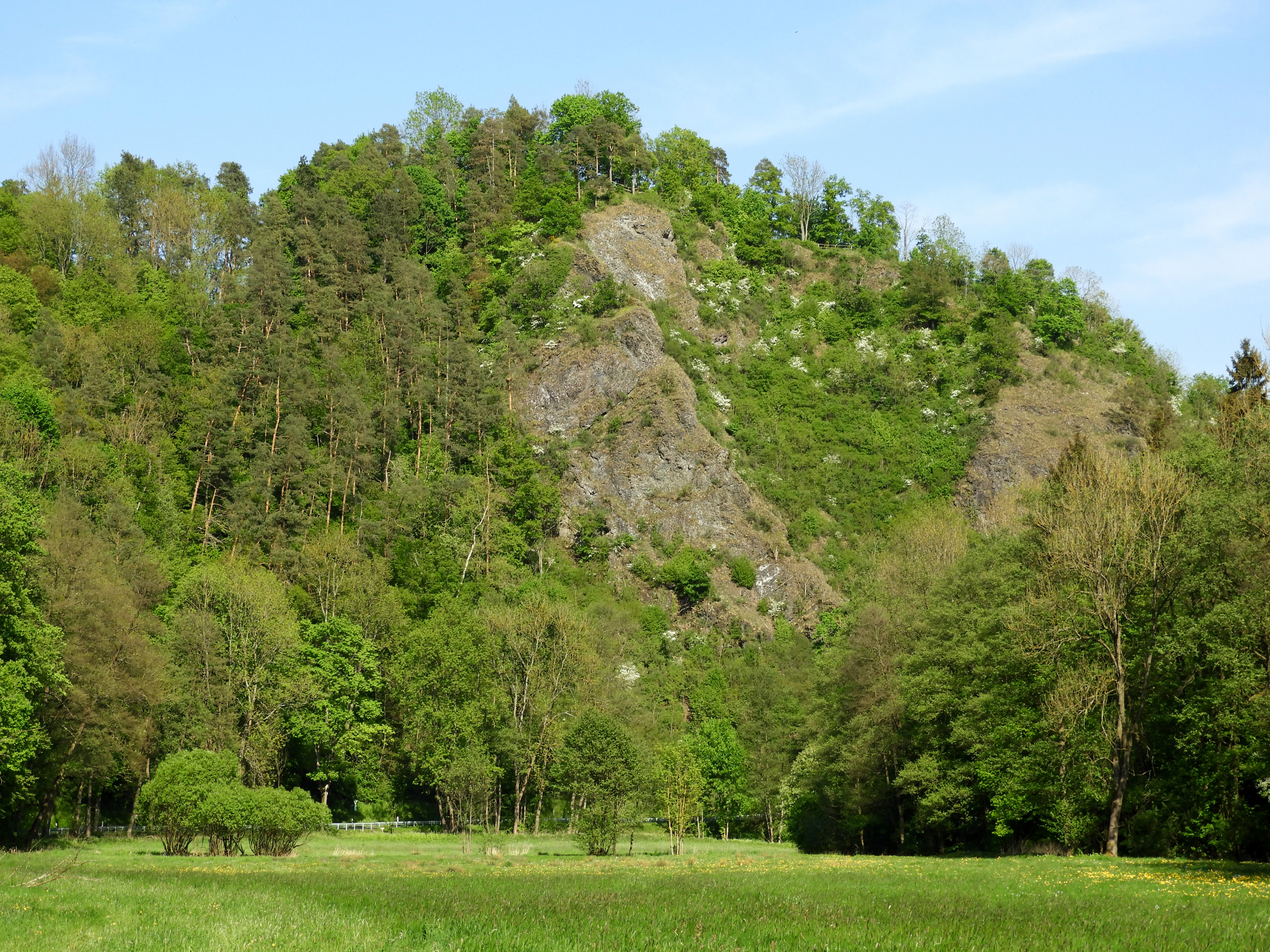 Una pradera verde y herbosa en primer plano conduce a un escarpado acantilado rocoso de diabasa cubierto de árboles caducifolios y coníferos bajo un cielo azul brillante.