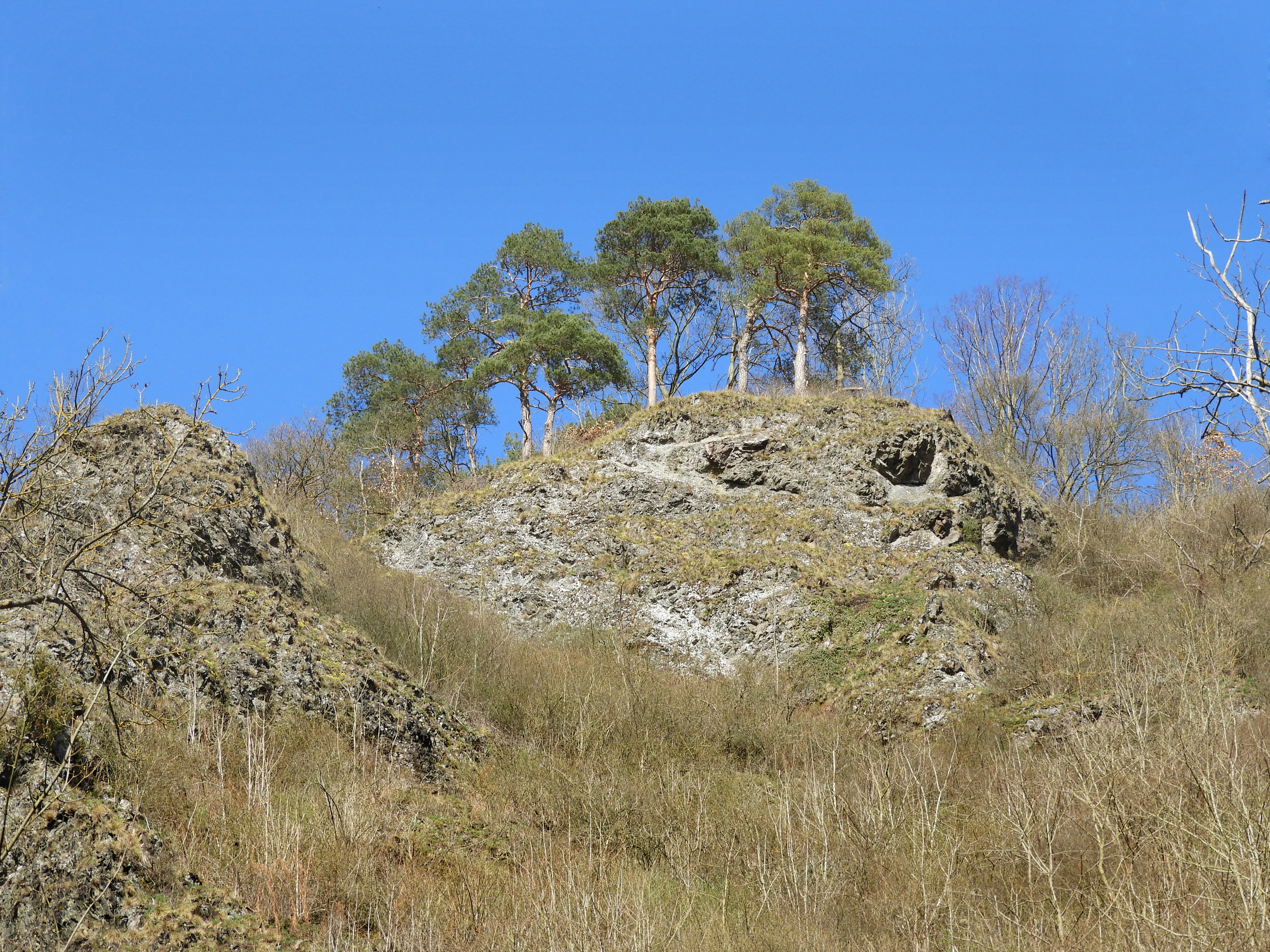 Escarpados acantilados de roca erosionada coronados por pinos bajo un cielo azul despejado en la reserva natural de Bilstein im Höllental.