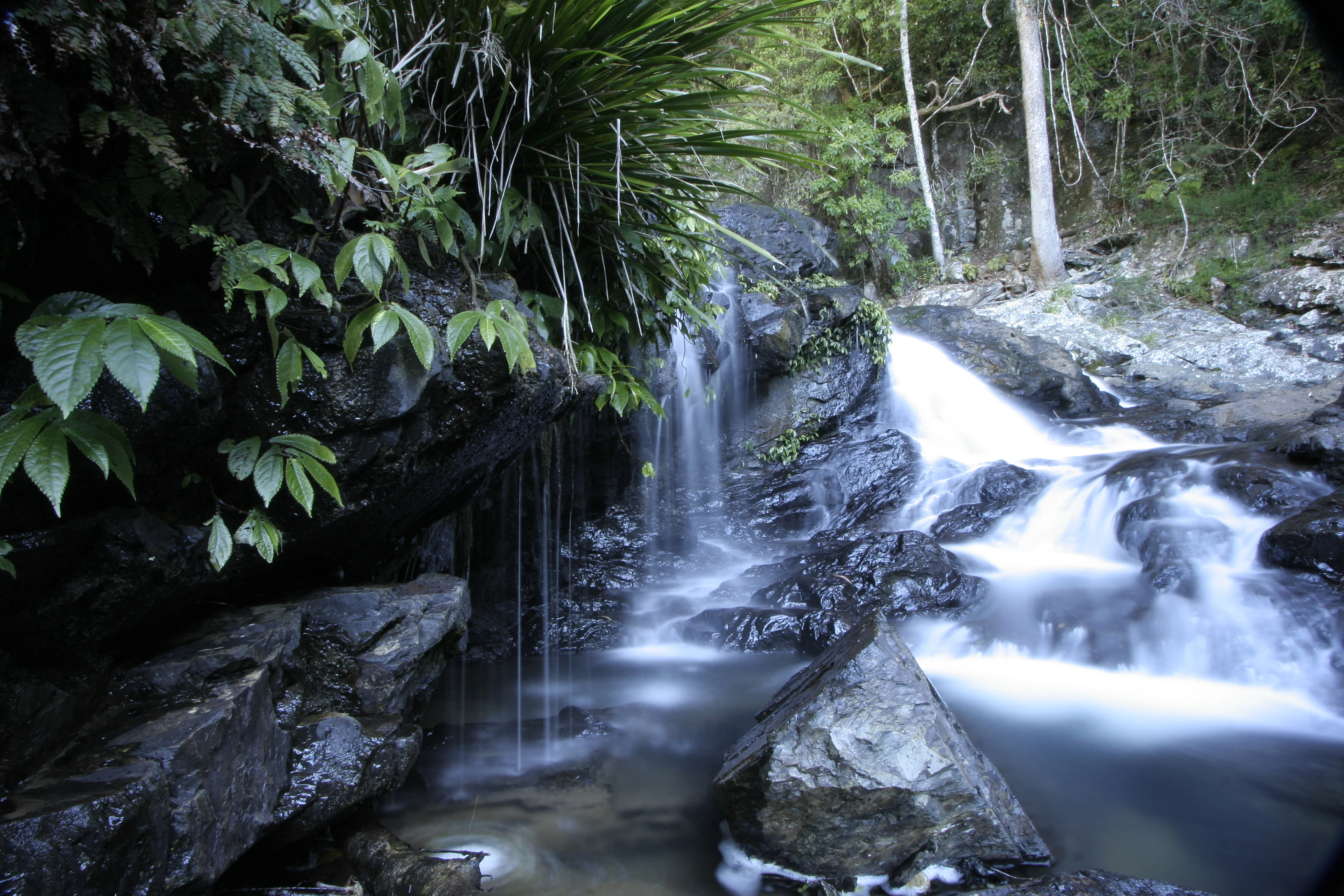 Waterfall flowing over rocky terrain with dense green vegetation on the left side