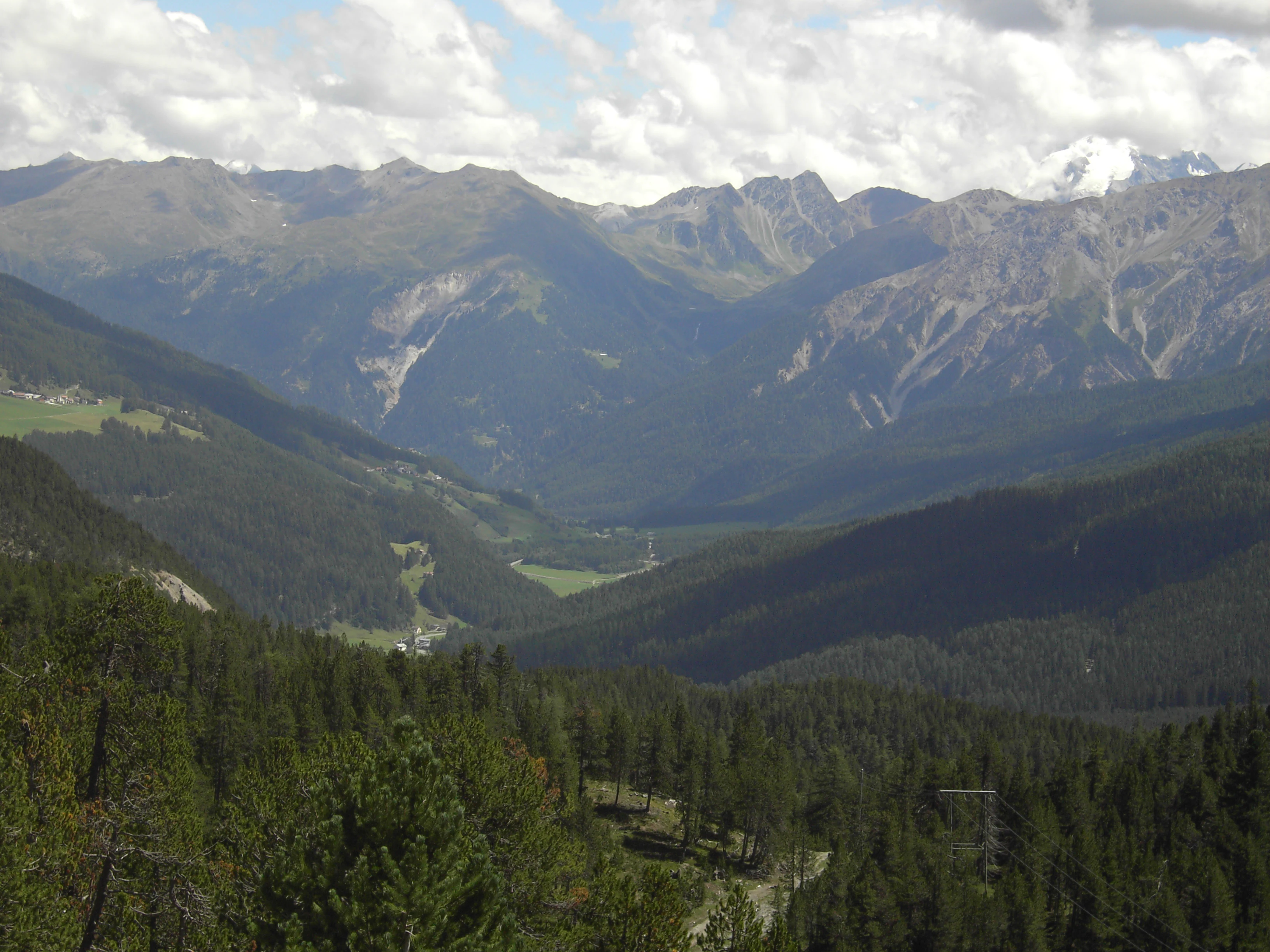 Wide angle view of an alpine valley in Switzerland, with dense coniferous forests on the foreground slopes and high, rugged mountain ranges under a cloudy sky in the background.