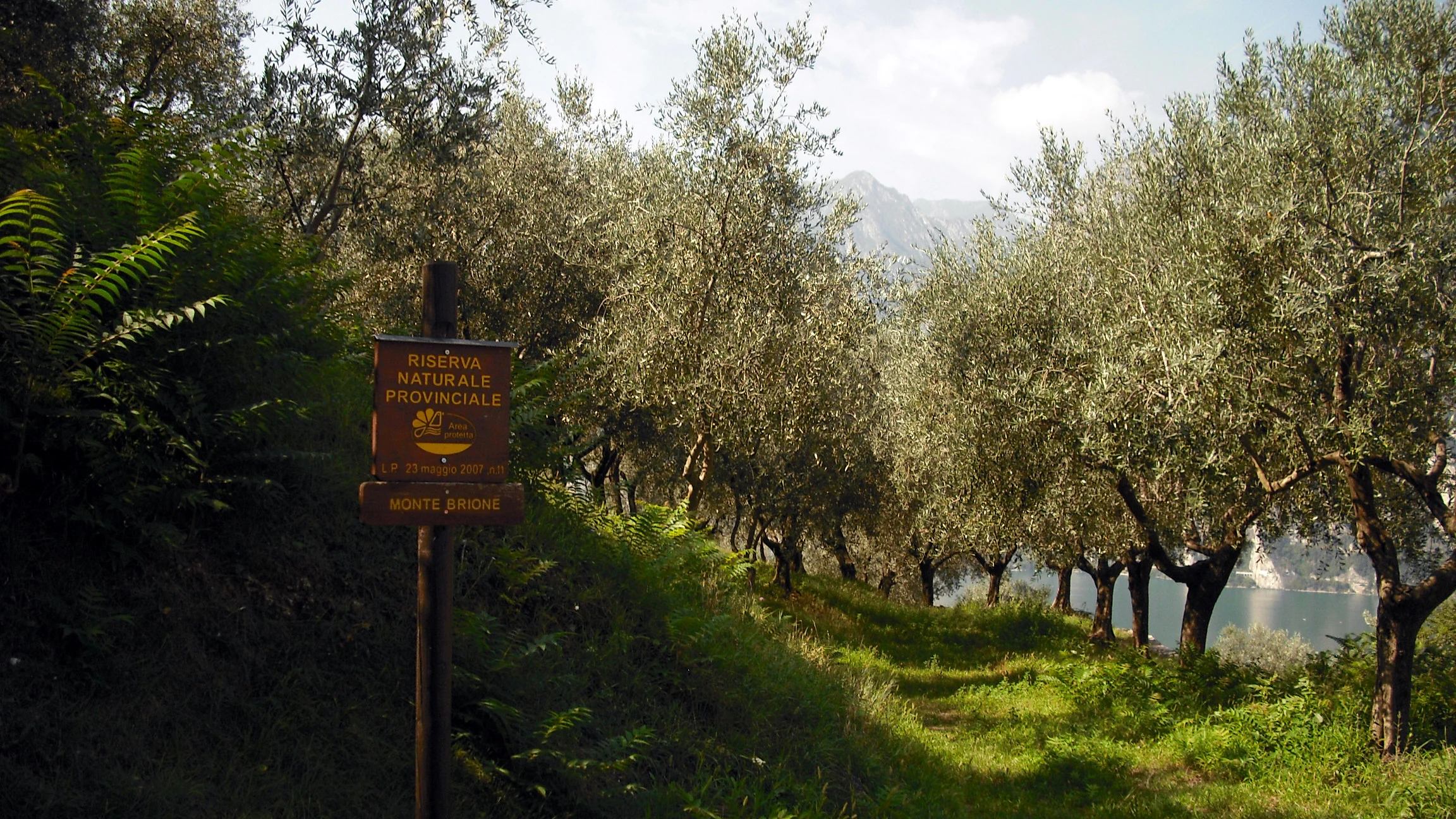 A brown park entrance sign in a grove of olive trees on a hillside overlooking a lake, with text in Italian indicating a protected nature reserve.