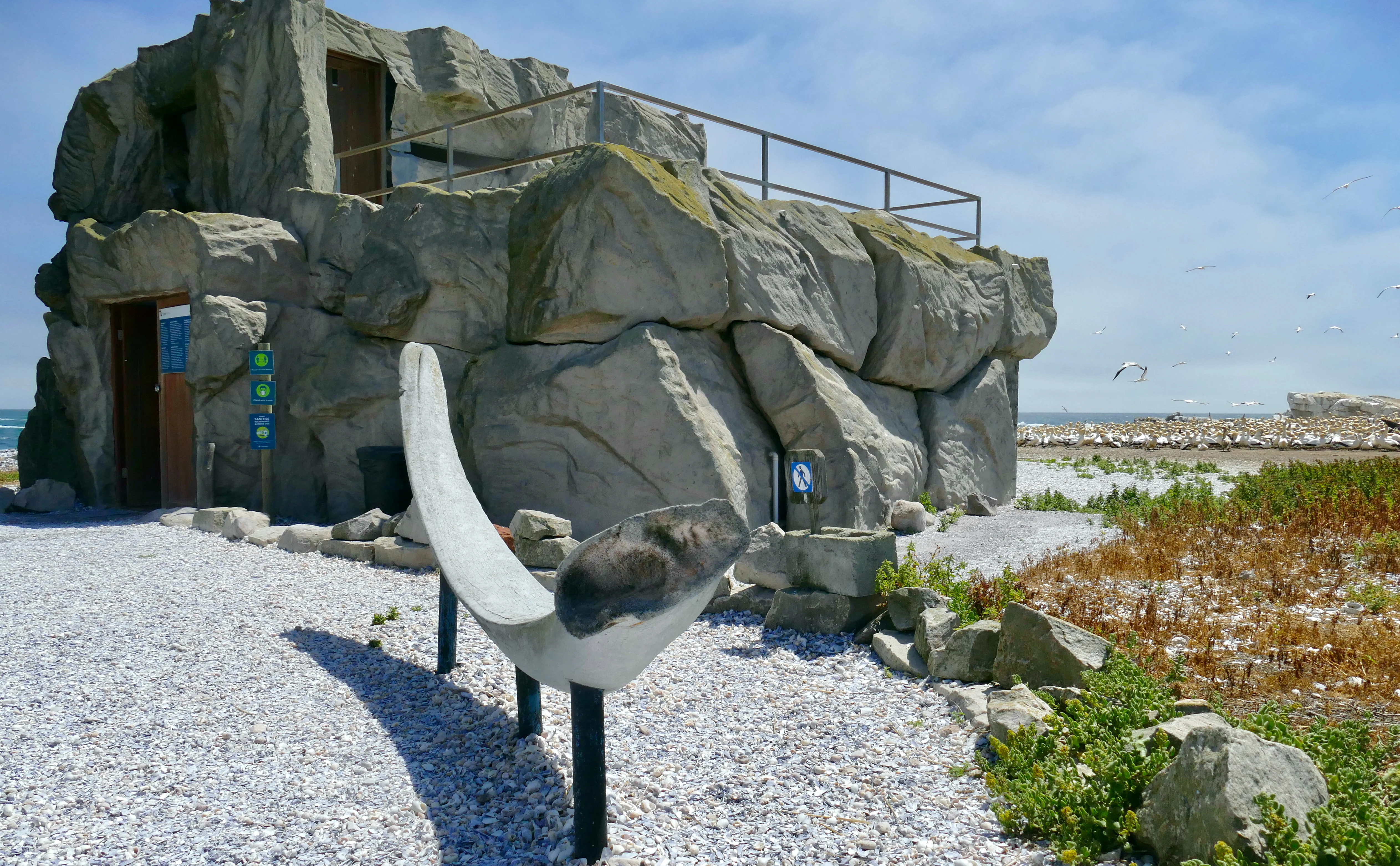 A rock-like concrete structure used as a bird observation hide with a small viewing platform on top, positioned near a coastal colony of white seabirds.