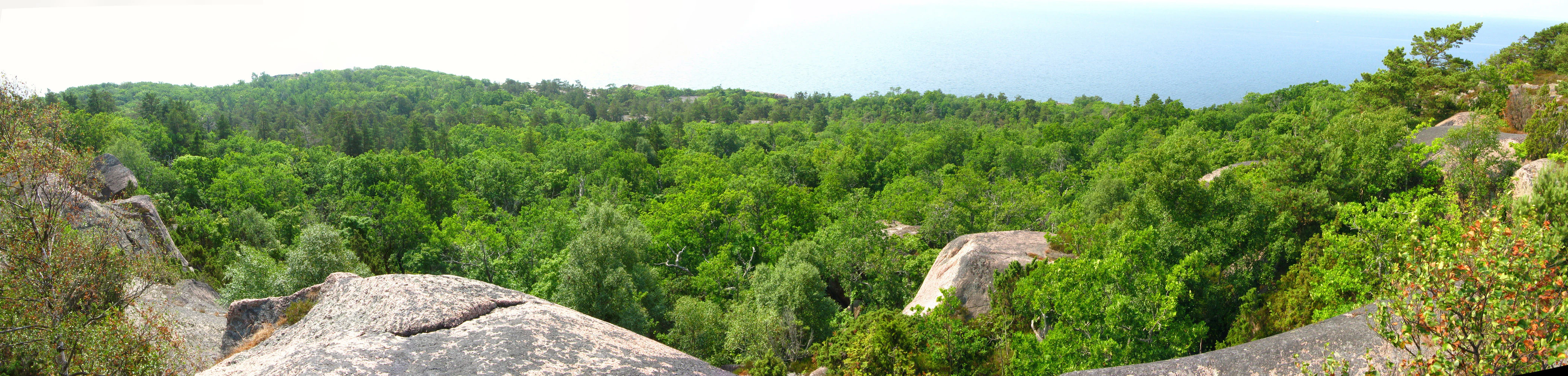 Panoramic landscape of Blå Jungfrun National Park featuring green forest, rocky formations, and distant sea