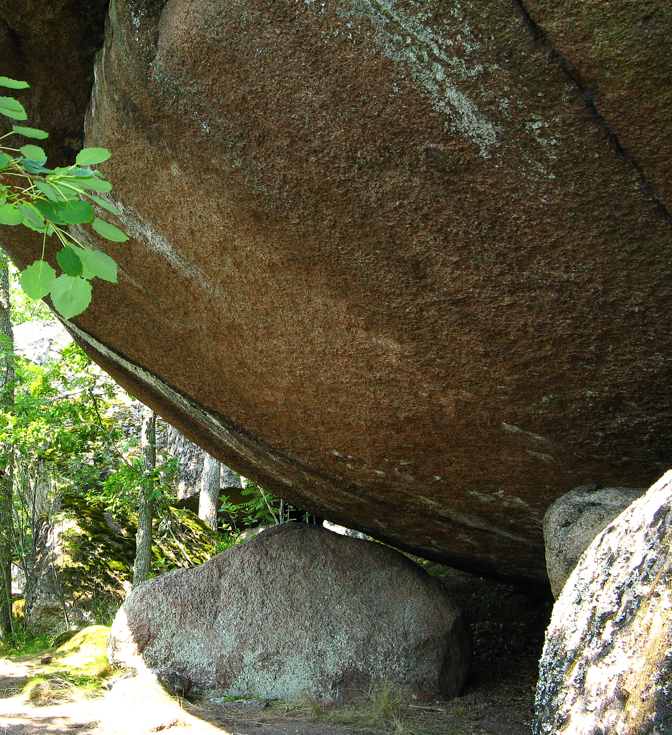 Large rock overhang with textured surface surrounded by trees and smaller boulders in a forested area.