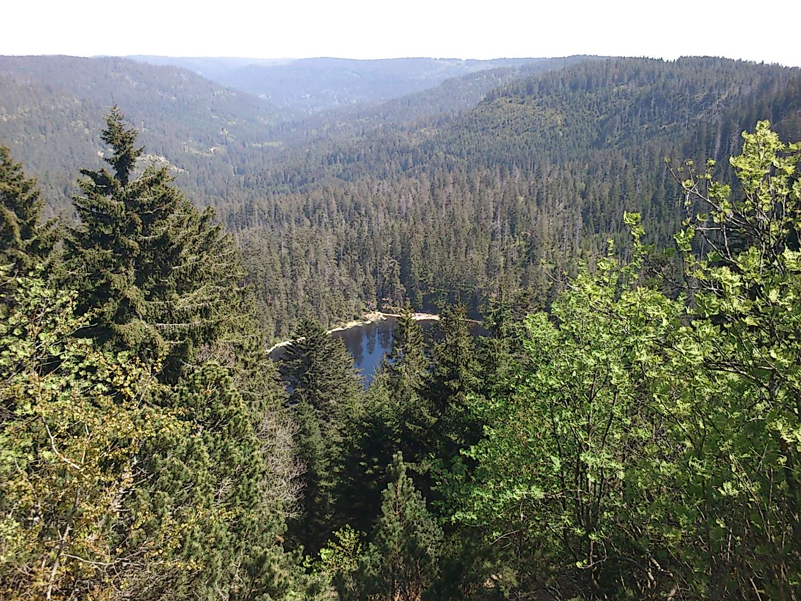 A high-angle view of a forested mountain valley with a small lake visible in the midground, surrounded by dense evergreen trees and rolling hills