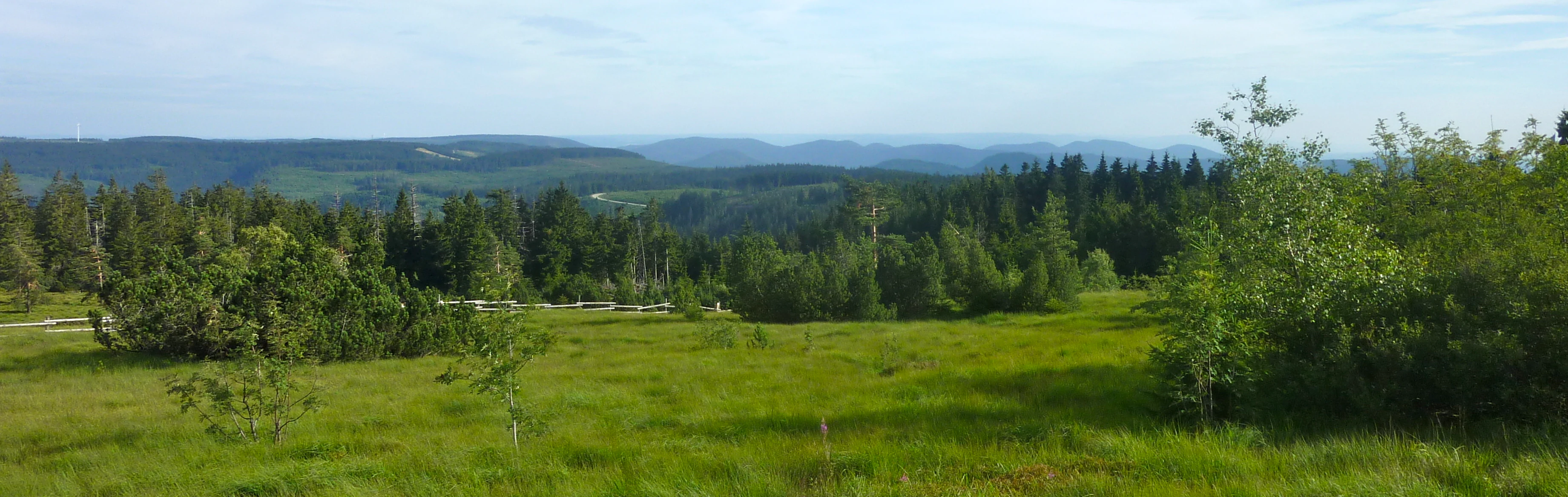 Grassy meadow with scattered trees and forested hills under a partly cloudy sky