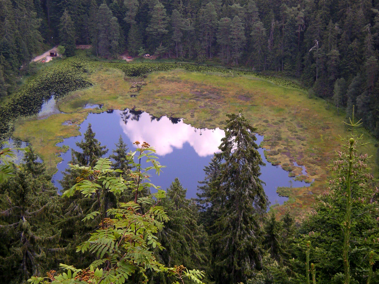 A lake surrounded by forest with reflections of clouds in the water, viewed from an elevated position
