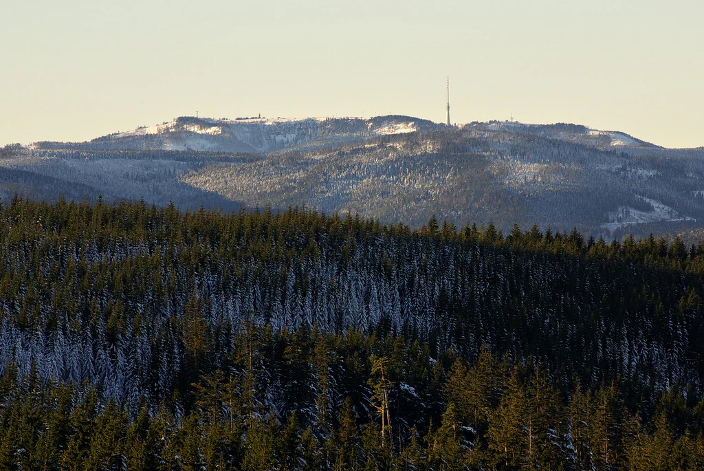 Snow-dusted coniferous forest extending across rolling hills with Hornisgrinde peak visible in the distance under a clear sky
