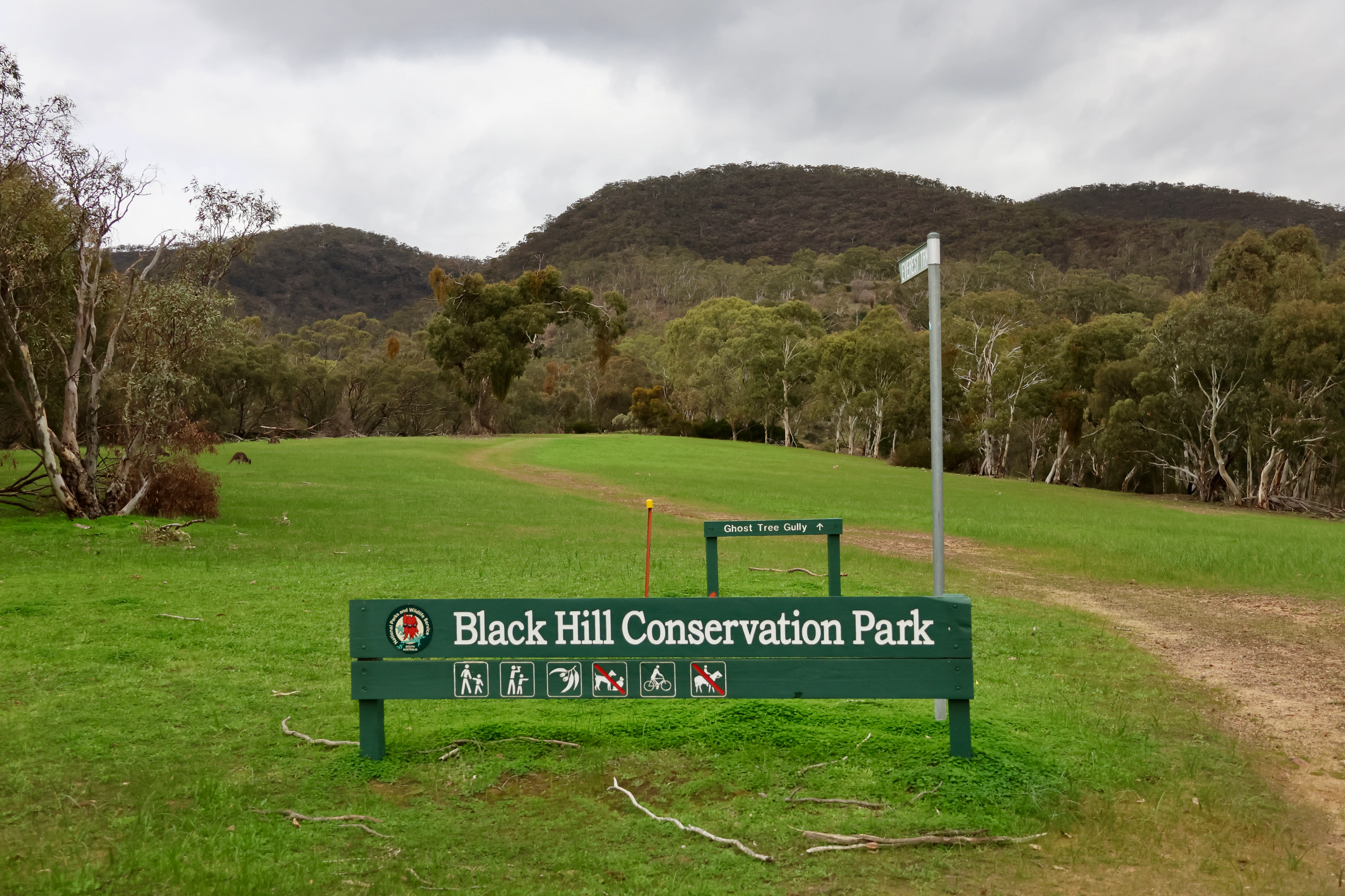 A green wooden sign displaying the name Black Hill Conservation Park in white text, situated on a grassy field in front of forested hills under an overcast sky.