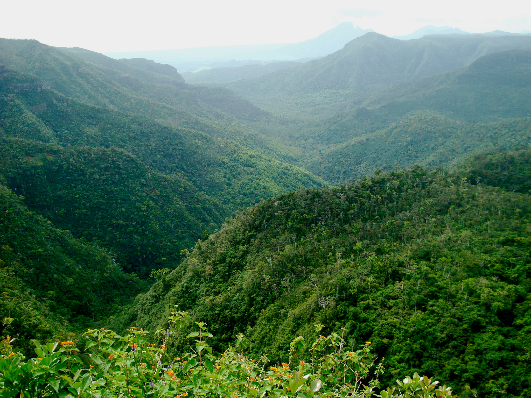 Amplia vista paisajística de densos bosques verdes que cubren ondulantes montañas y profundos valles en el Parque Nacional de las Gargantas del Río Negro, Mauricio.