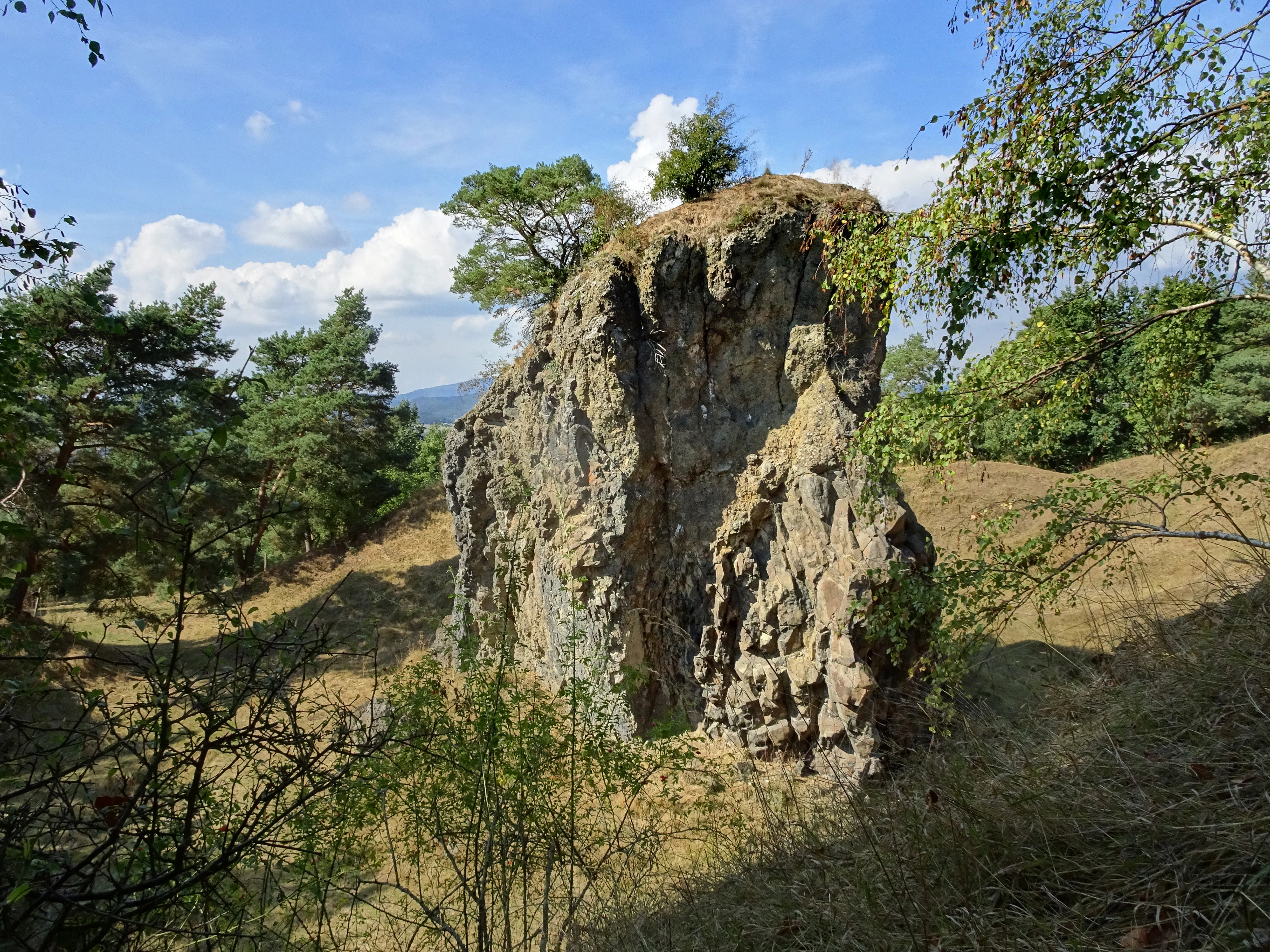 A prominent, weathered basalt rock pillar stands in a grassy, open area surrounded by trees and vegetation at the Blaue Kuppe site.