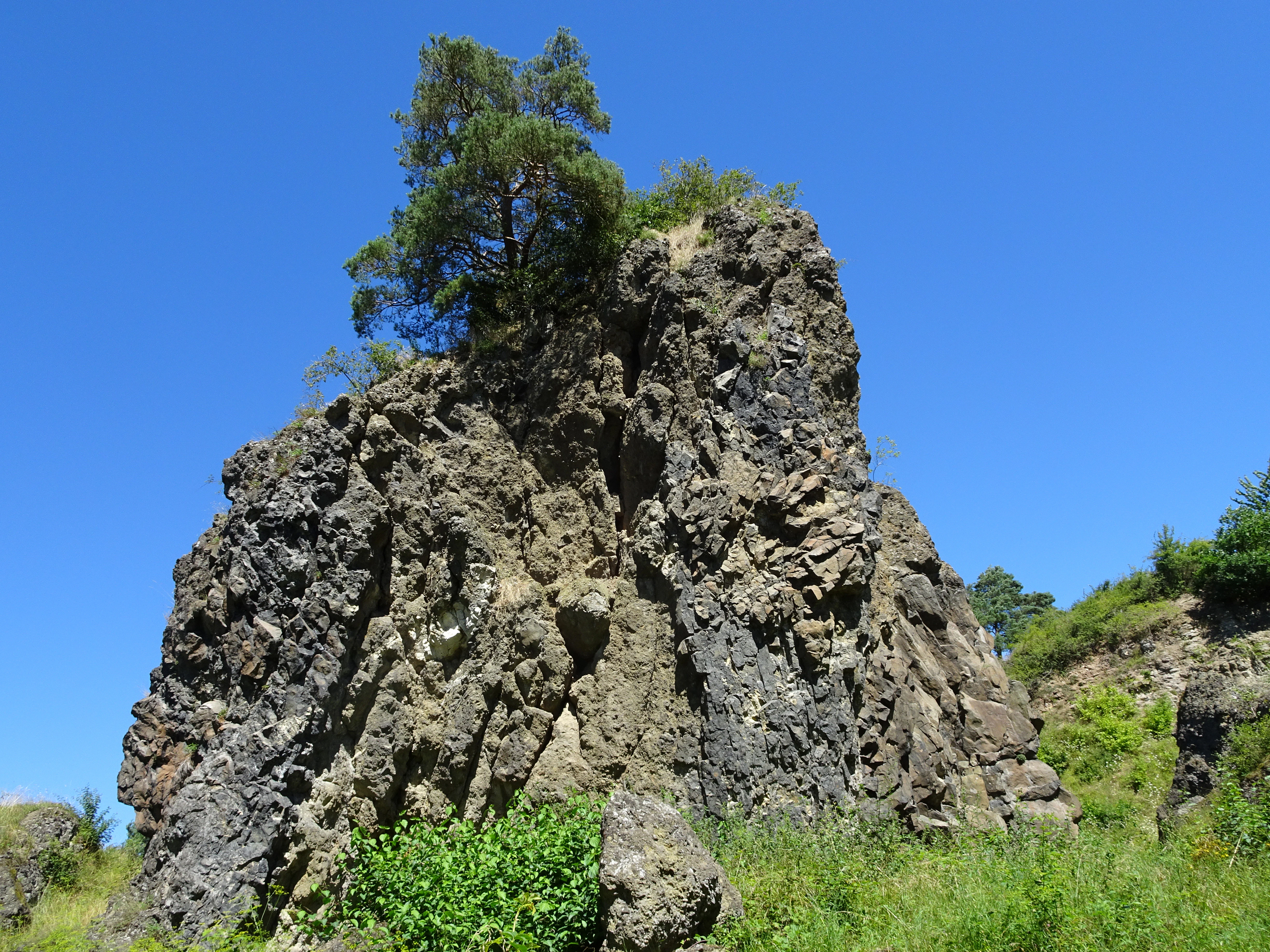 A large, rugged, dark-grey volcanic rock formation stands prominently against a clear blue sky, with a small tree growing at its peak and green vegetation at its base.