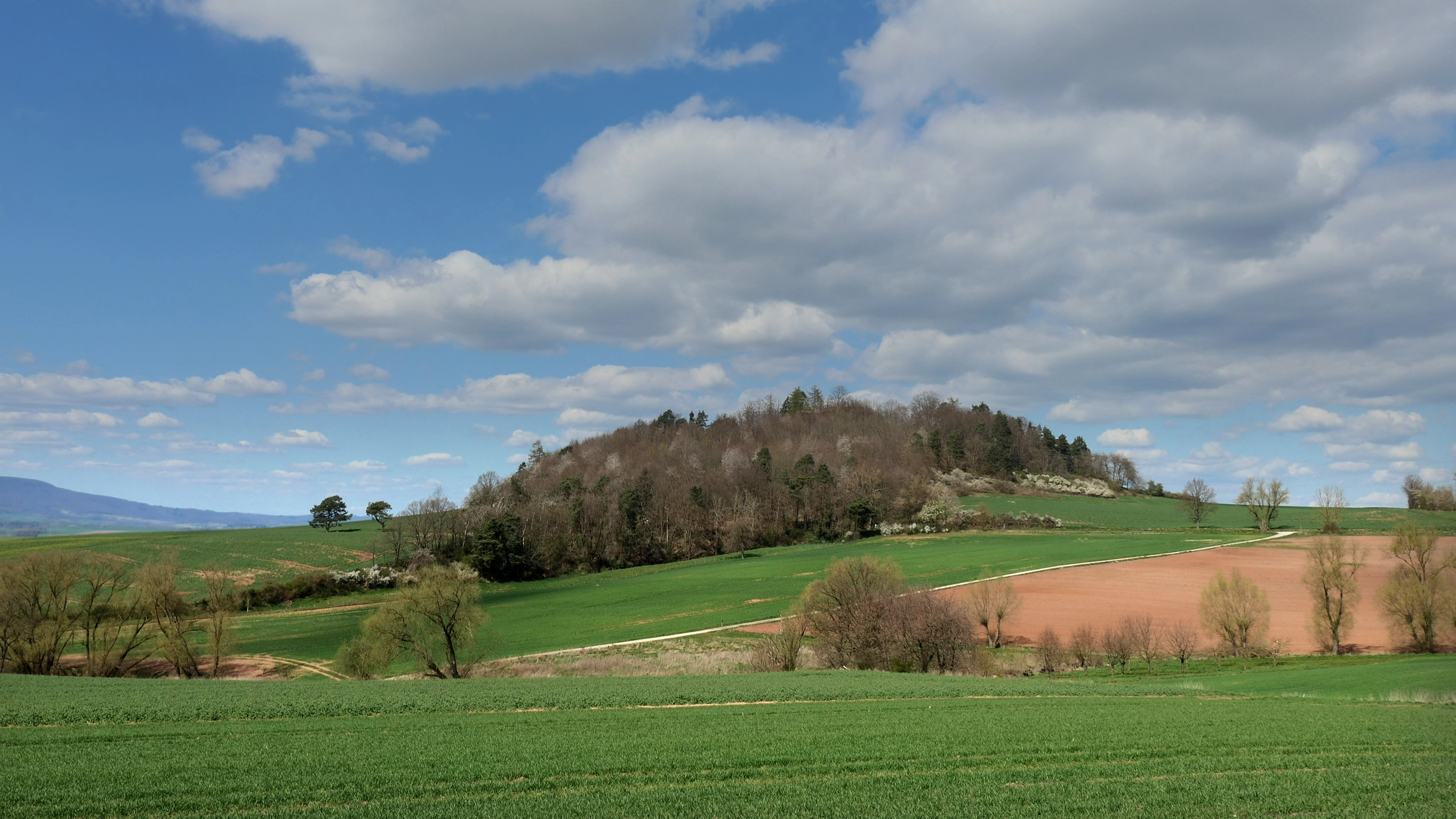 A wide shot of a forested hill, the Blaue Kuppe, rising above green agricultural fields under a blue sky with scattered clouds.
