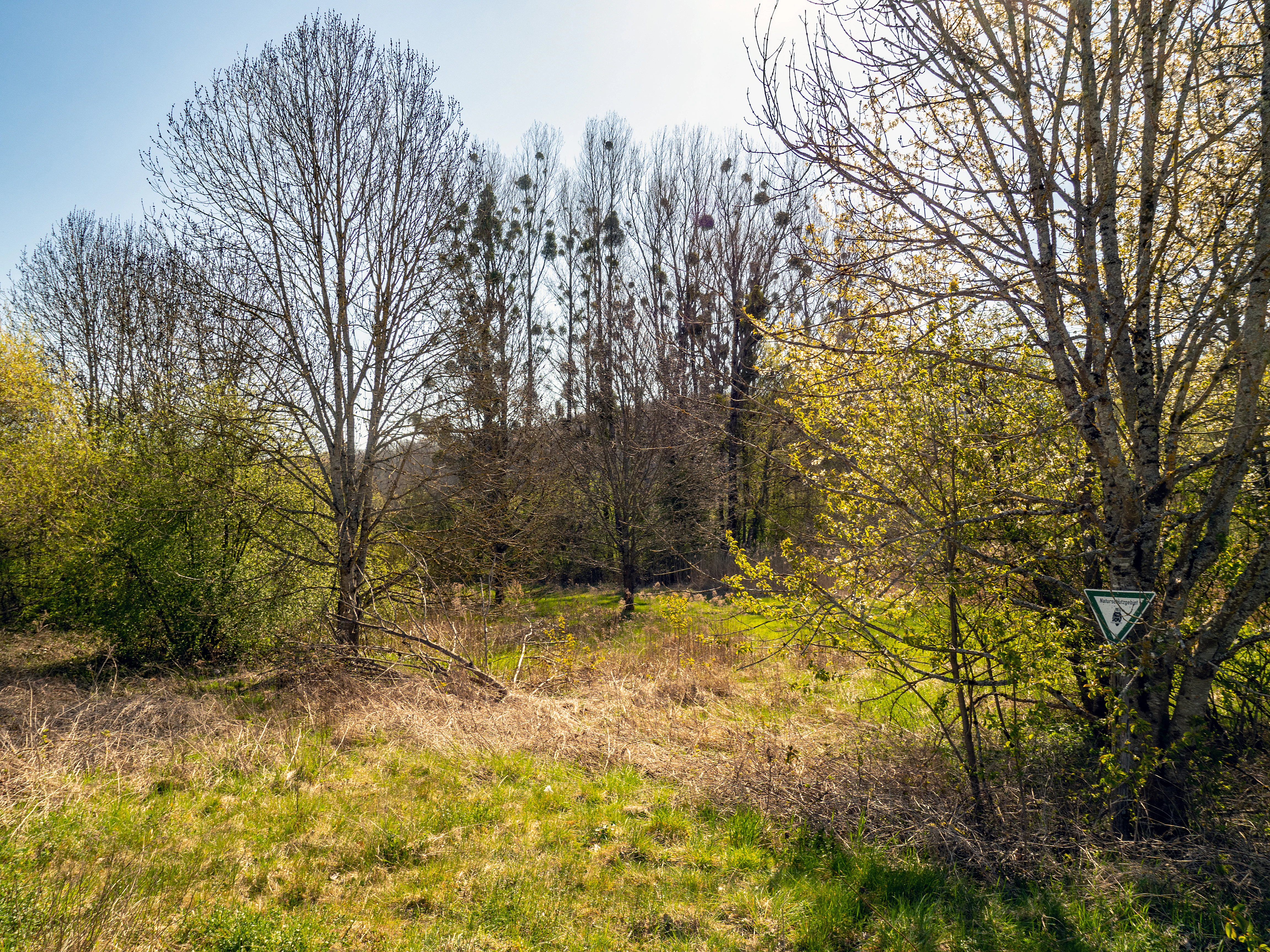 A meadow landscape with deciduous trees under a clear blue sky, featuring a triangular German nature reserve sign attached to a tree on the right.