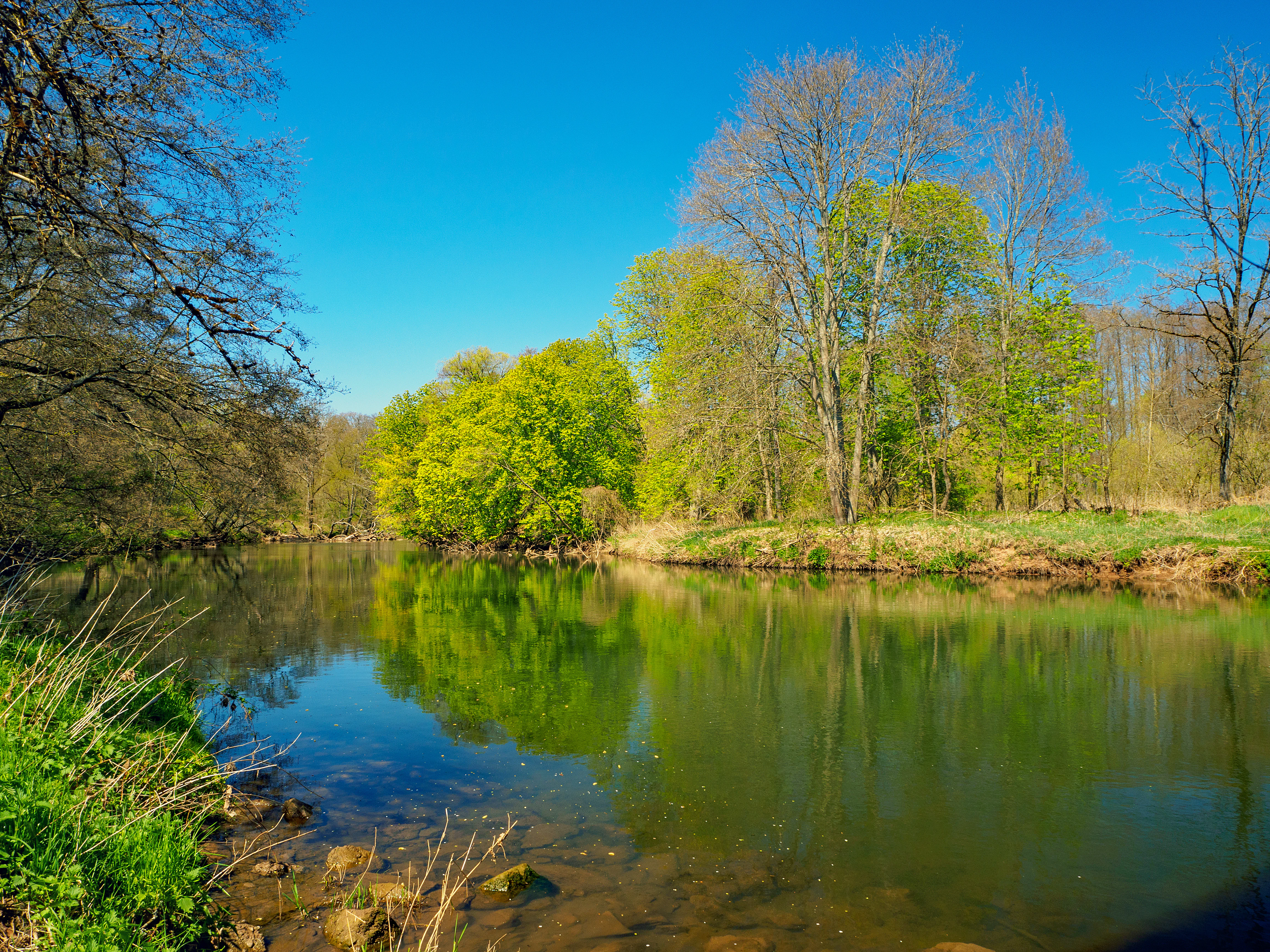 A calm, reflective river surrounded by lush green deciduous trees under a clear blue sky.