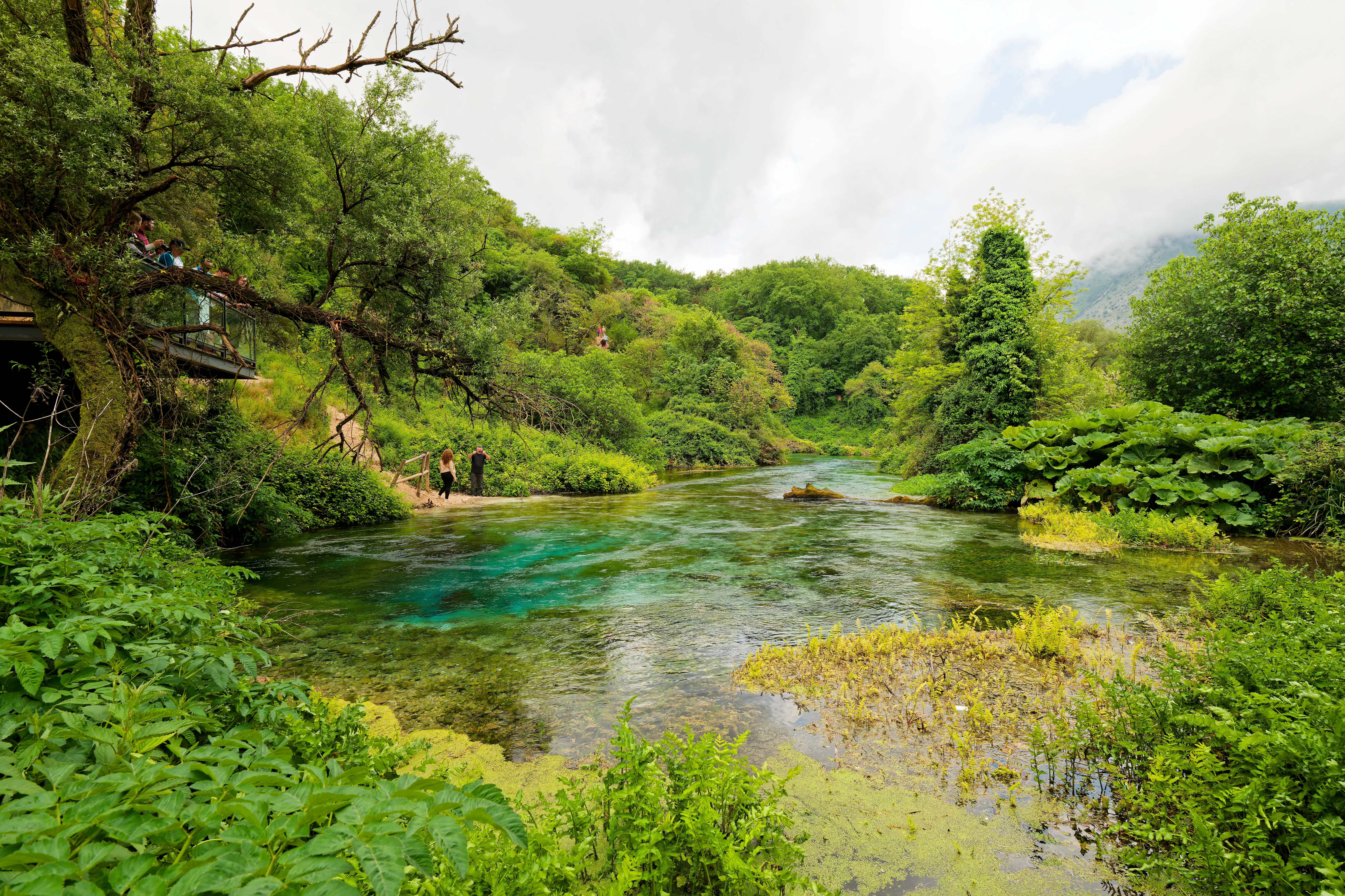 A vibrant blue natural spring surrounded by lush green foliage and trees in Albania.