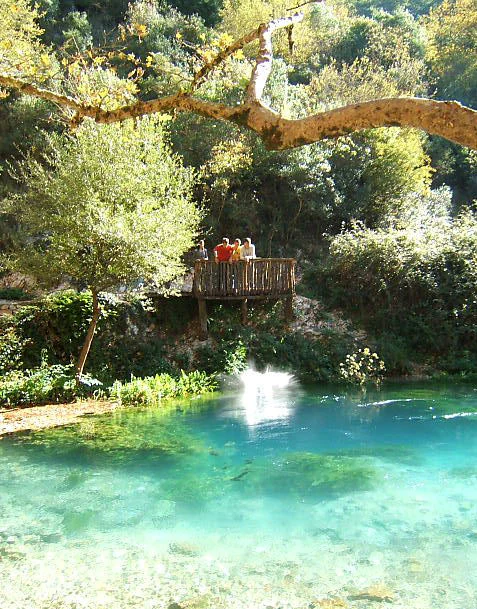 A vibrant blue natural spring pool surrounded by dense green forest foliage and trees with a wooden observation deck containing several people overlooking the water.