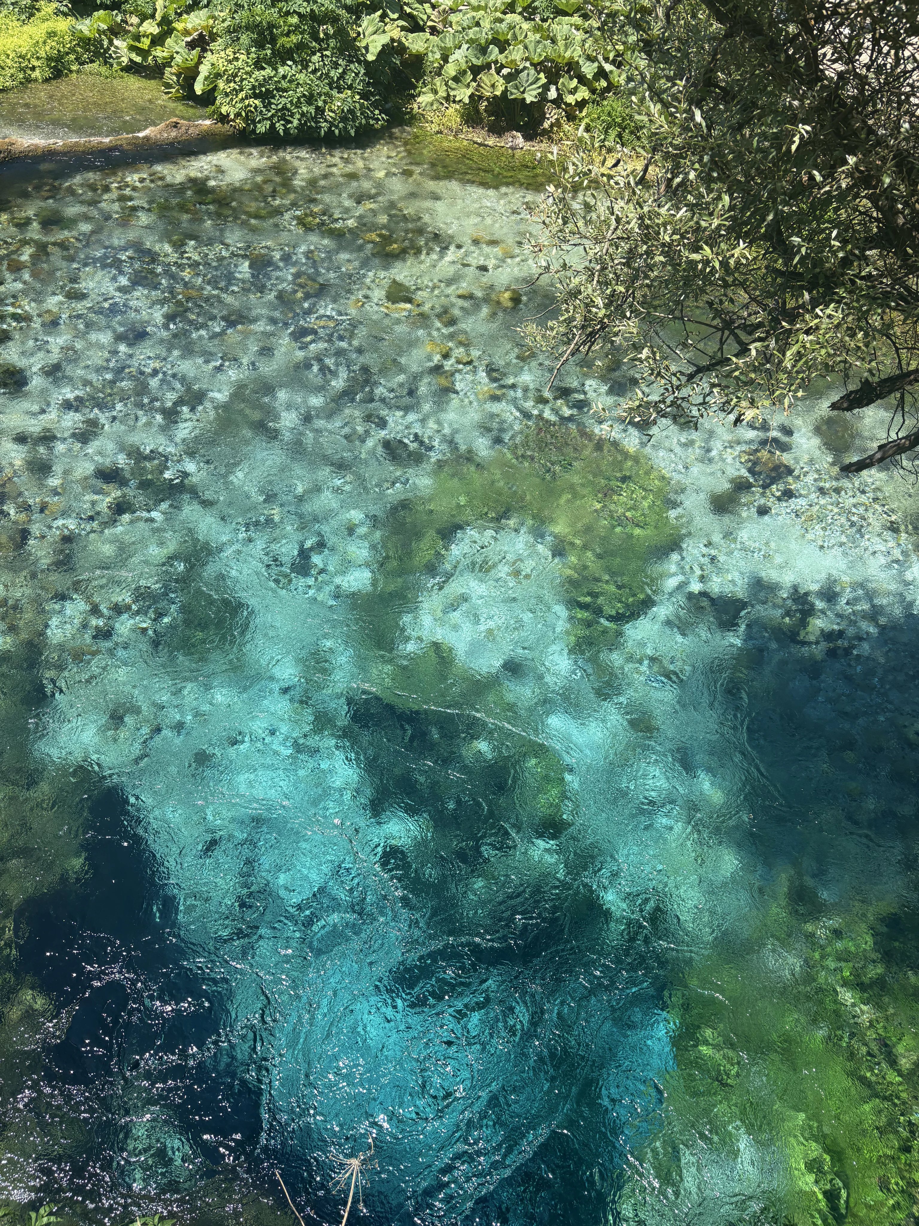A top down view of a deep natural karst spring with vibrant turquoise and dark blue water, with clear visibility of underwater rocks and surrounding foliage.