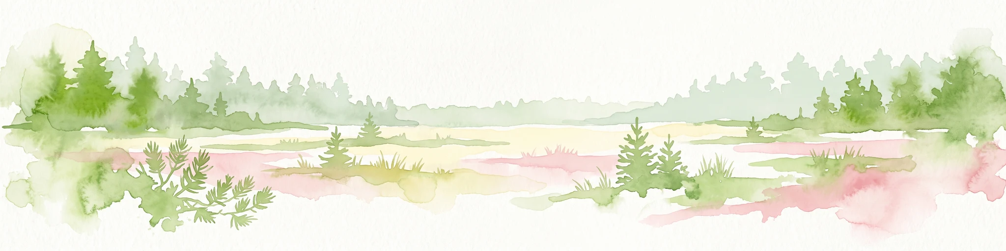 A watercolor painting showing a panoramic view of a wetland with coniferous trees, soft green forest lines, and reddish bog vegetation against a pale background.