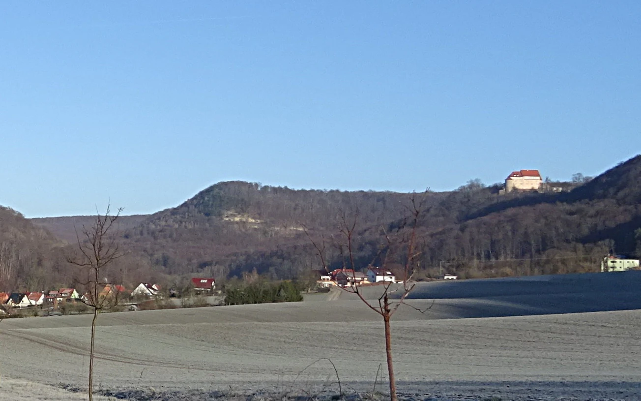 A landscape view showing rolling forested hills under a clear blue sky, with a small village nestled at the base and a prominent light-colored castle situated on the ridge.