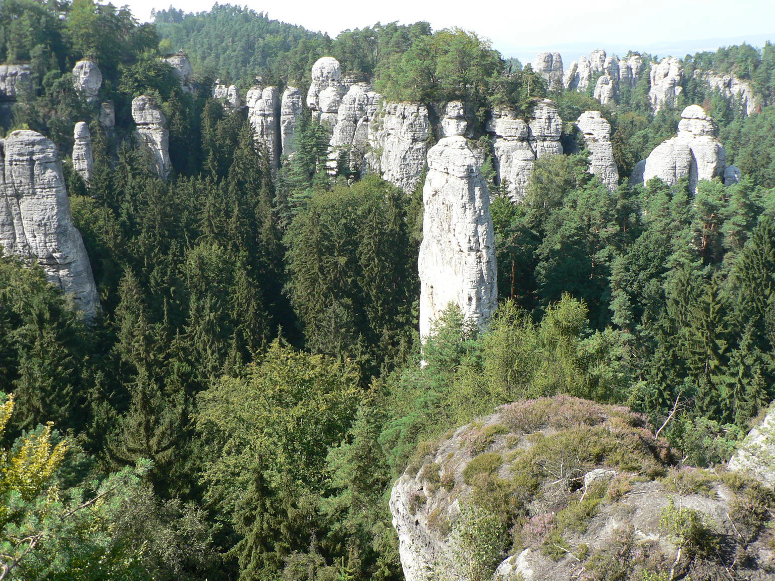 Landscape of tall sandstone rock formations surrounded by dense green forest with rocky outcrop in foreground