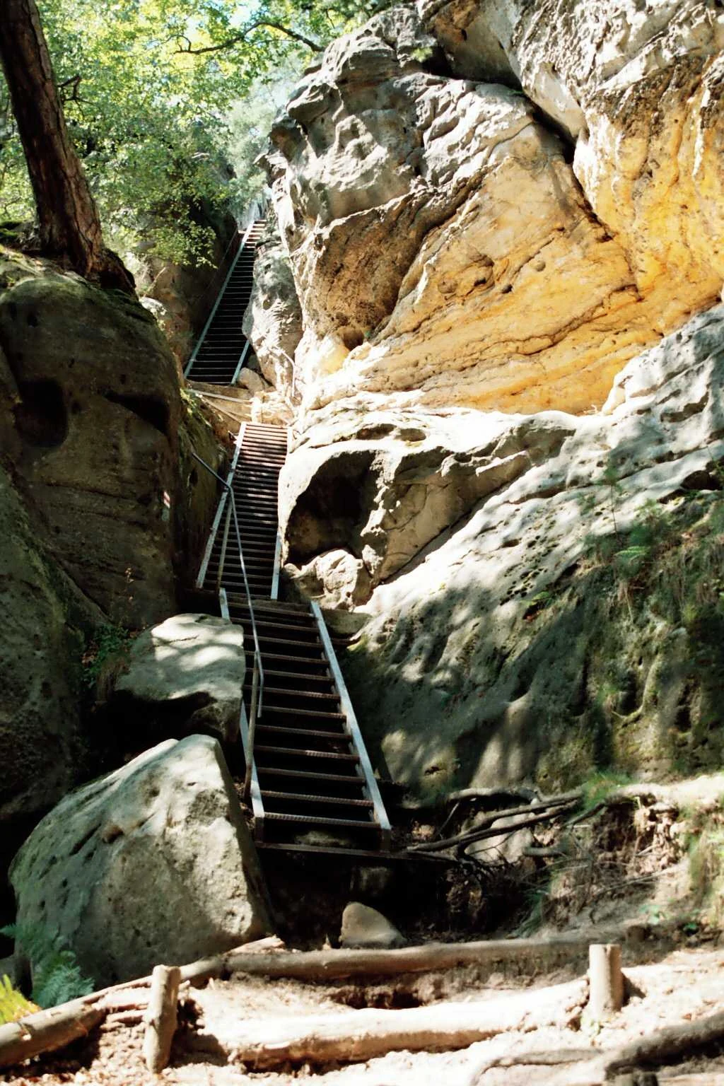 Metal staircase with railings leading up a rocky canyon with sandstone walls and vegetation