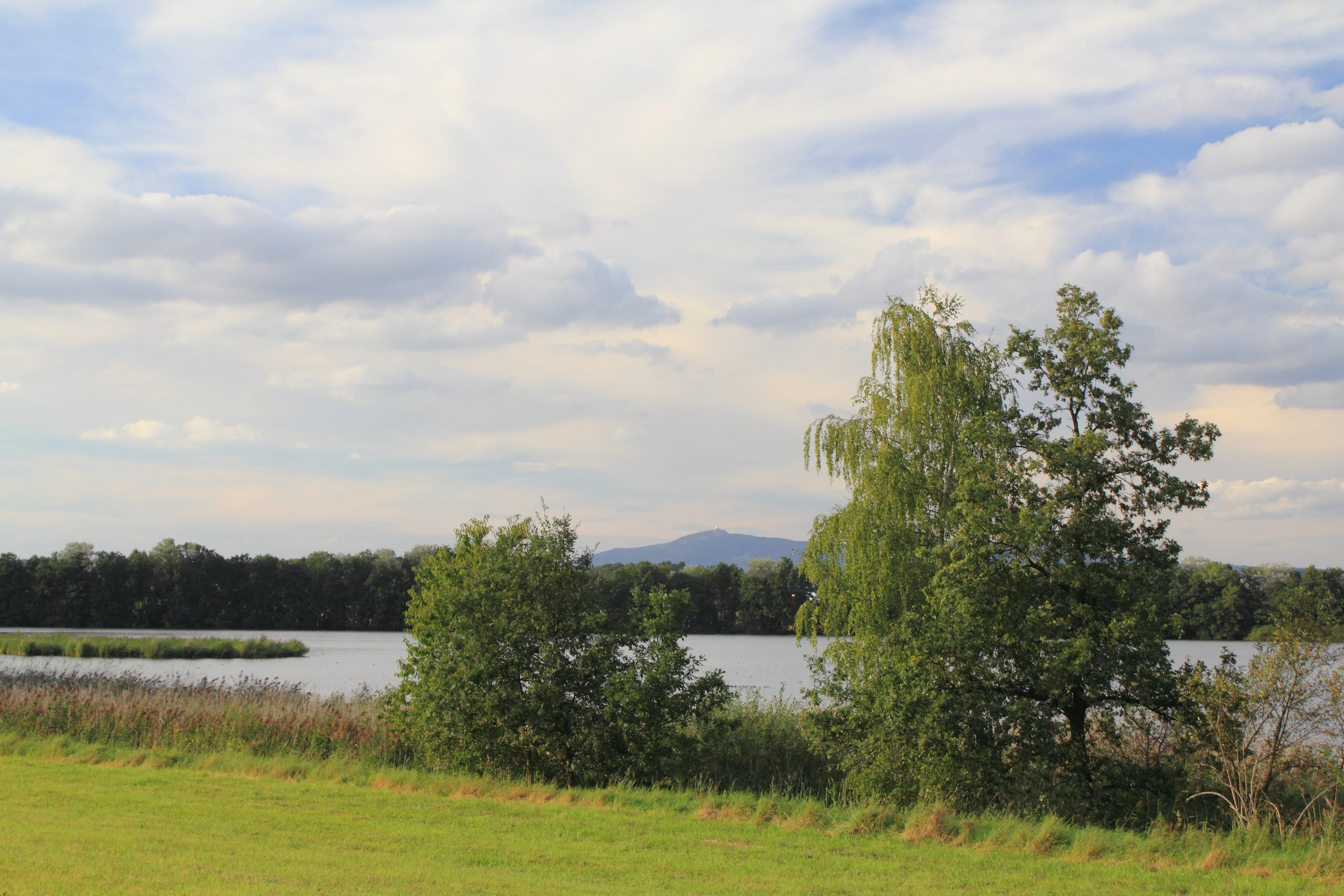 Grassy field with trees and a pond in the background under a partly cloudy sky