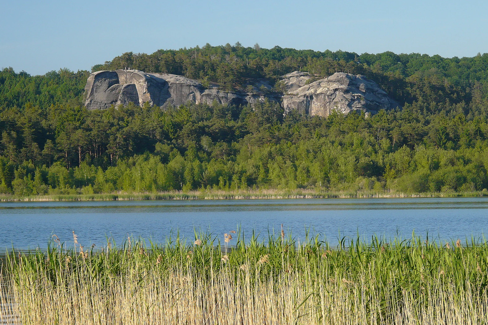 A lake with reeds in the foreground, a forested shoreline, and a large sandstone rock formation in the background under a clear sky