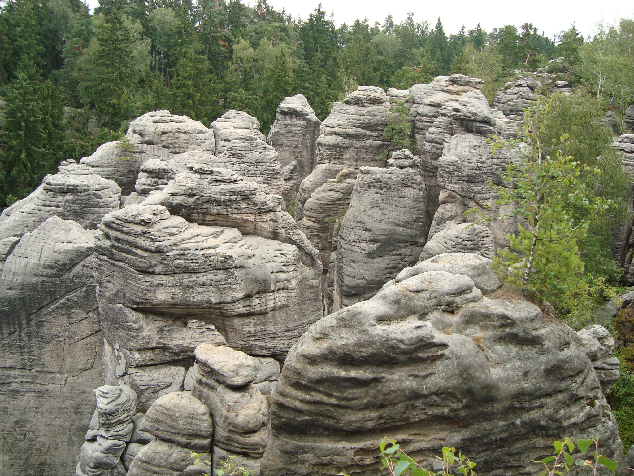 Sandstone rock formations surrounded by dense forest in Bohemian Paradise, Czech Republic