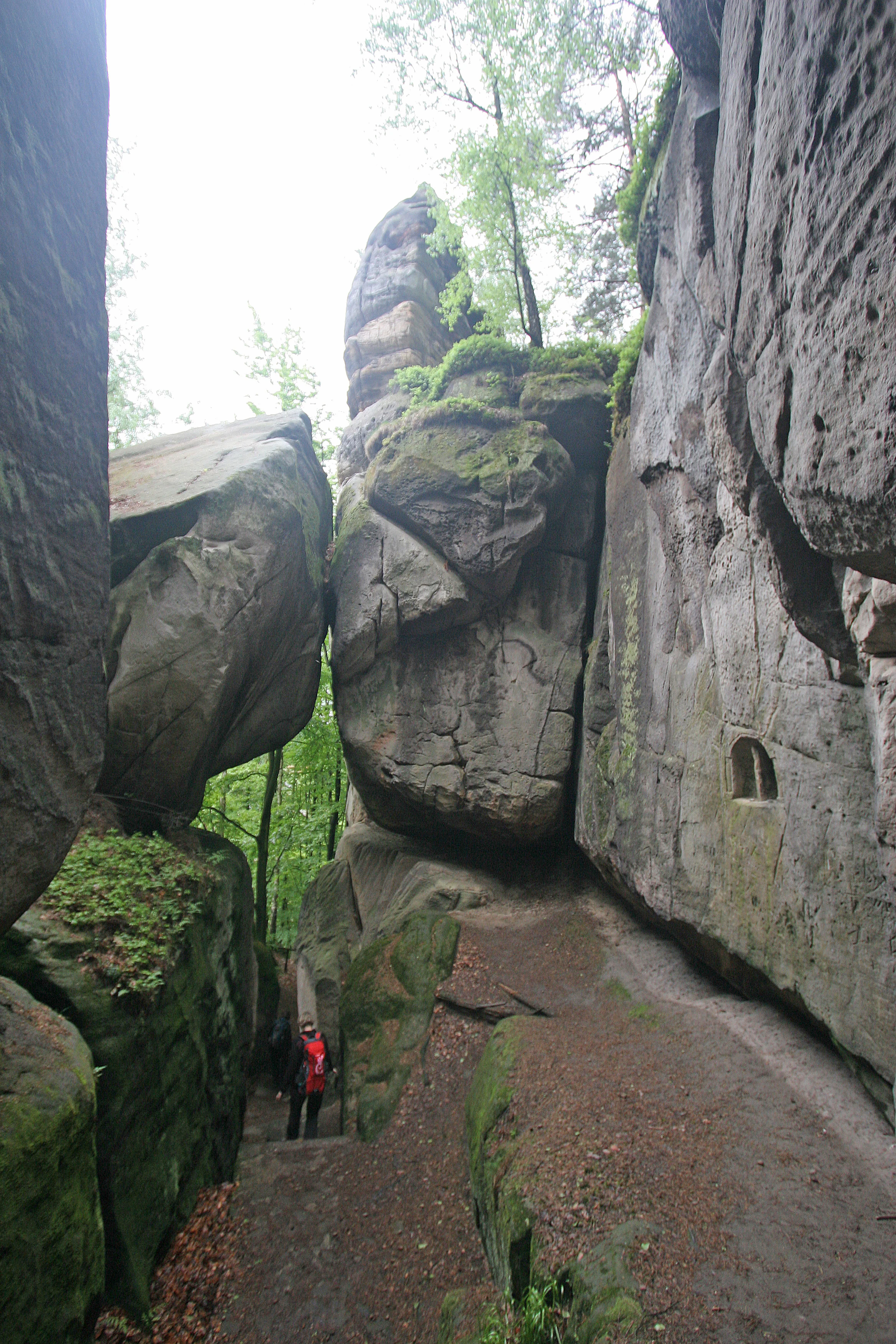A narrow trail between large sandstone rock formations with a hiker in a red jacket walking through the passage, surrounded by green vegetation and trees