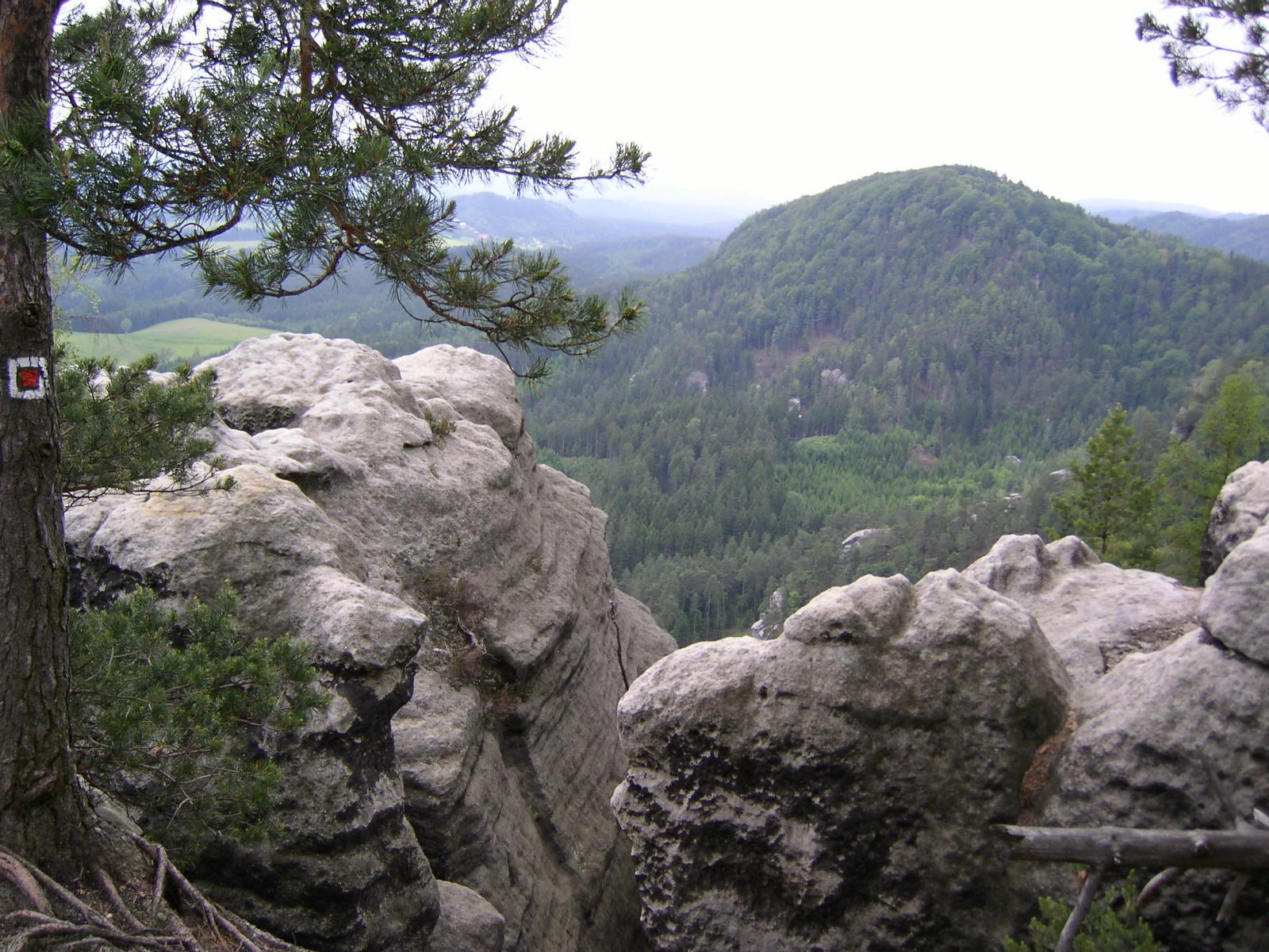 View of Wilhelminenwand sandstone rock formation with forested hills in background