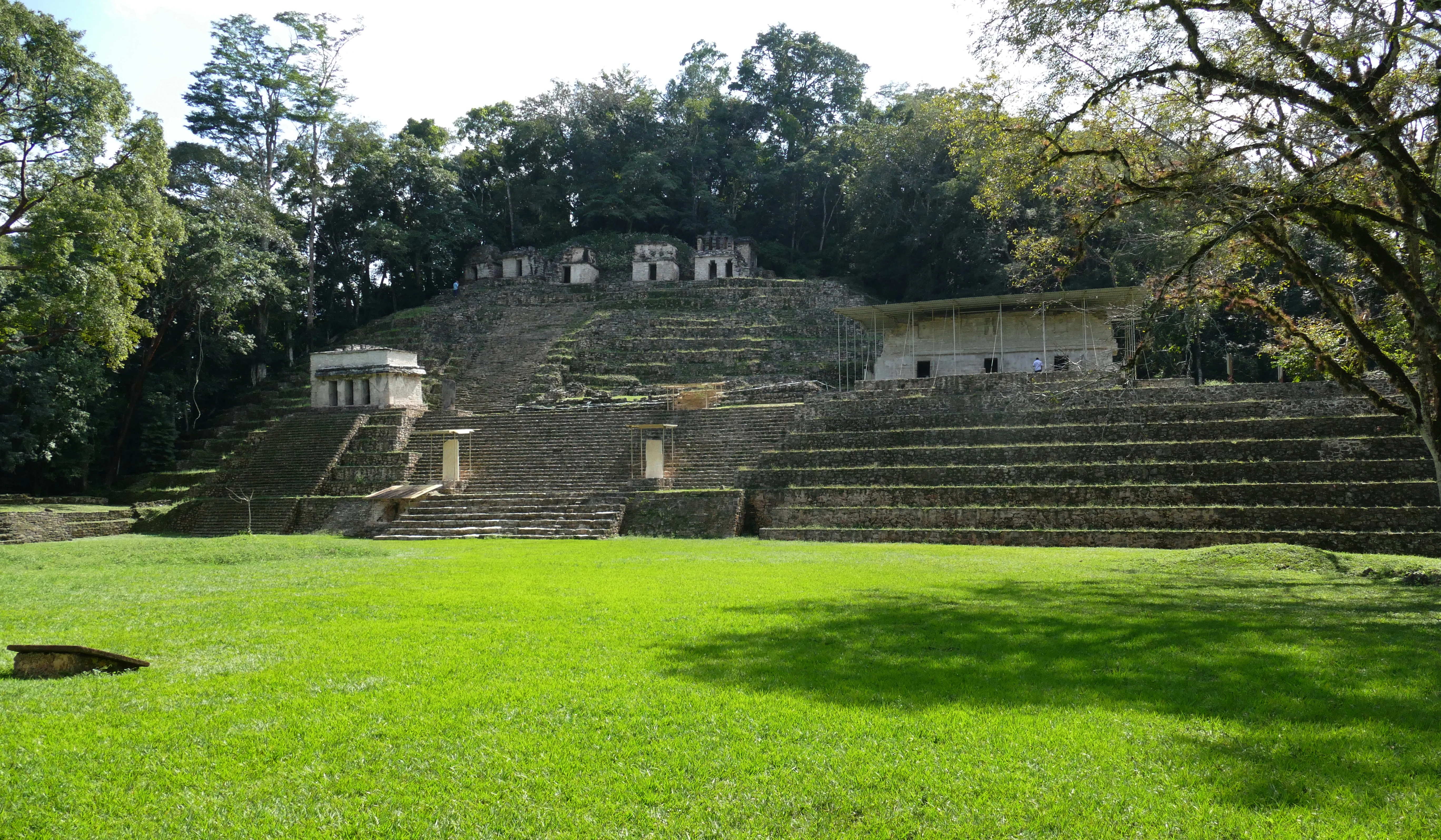 A wide view of the Mayan ruins at Bonampak, featuring a large grassy plaza in the foreground leading up to stone steps and structures surrounded by lush forest.