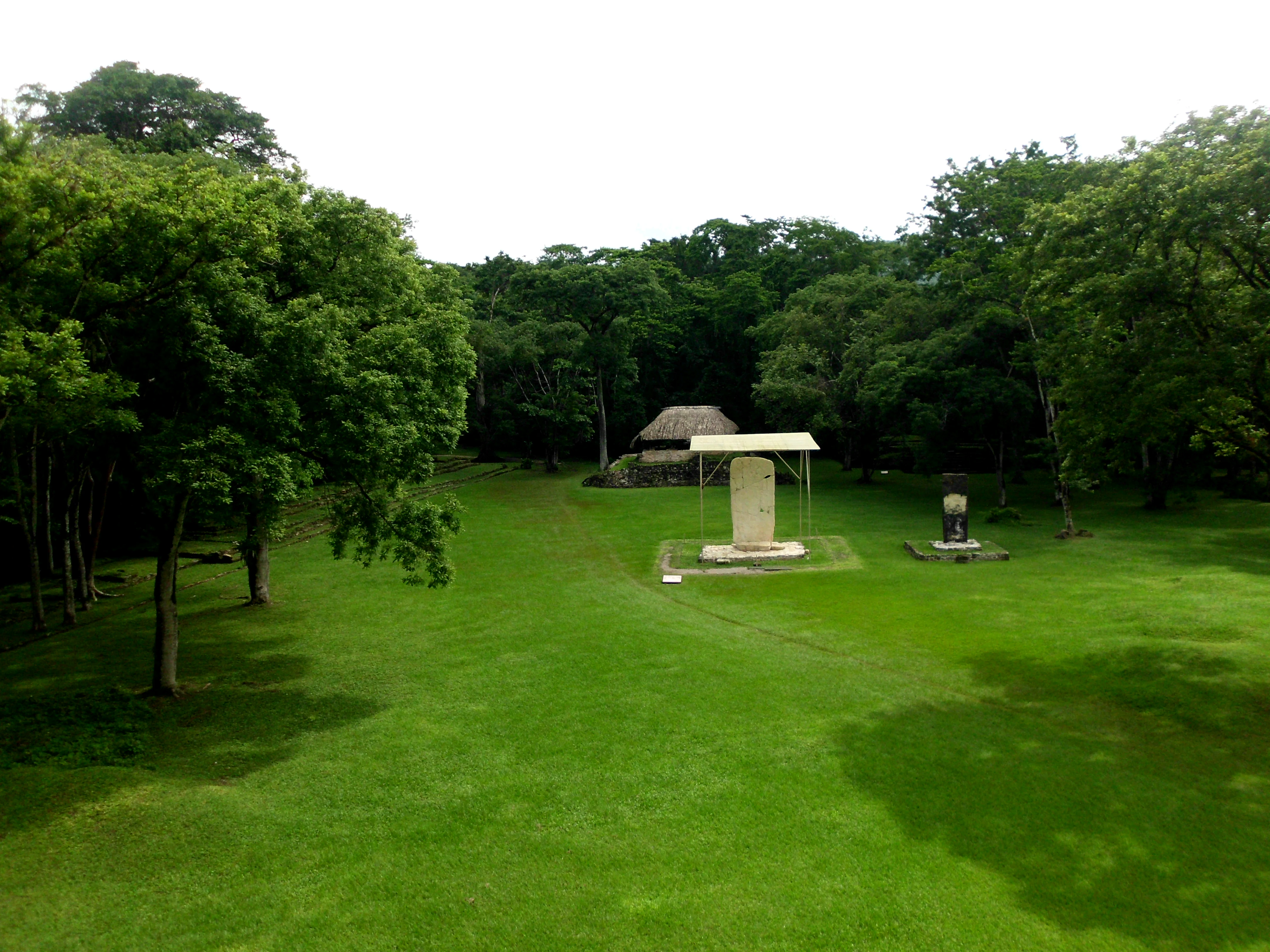 A wide view of a green grassy area surrounded by dense forest at Bonampak, featuring two ancient stone stelae under protective metal roof structures.
