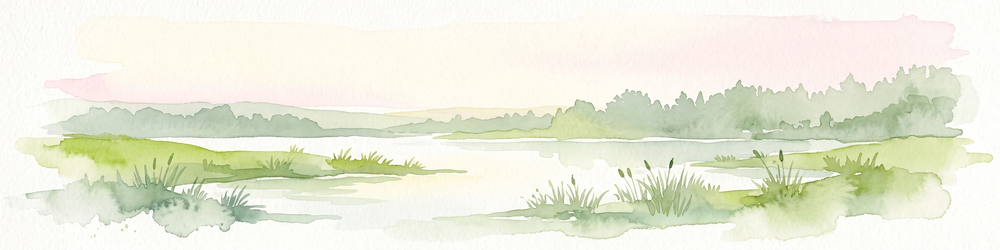 A soft watercolor painting of a wetland area with grasses, water, and a tree line in the background.