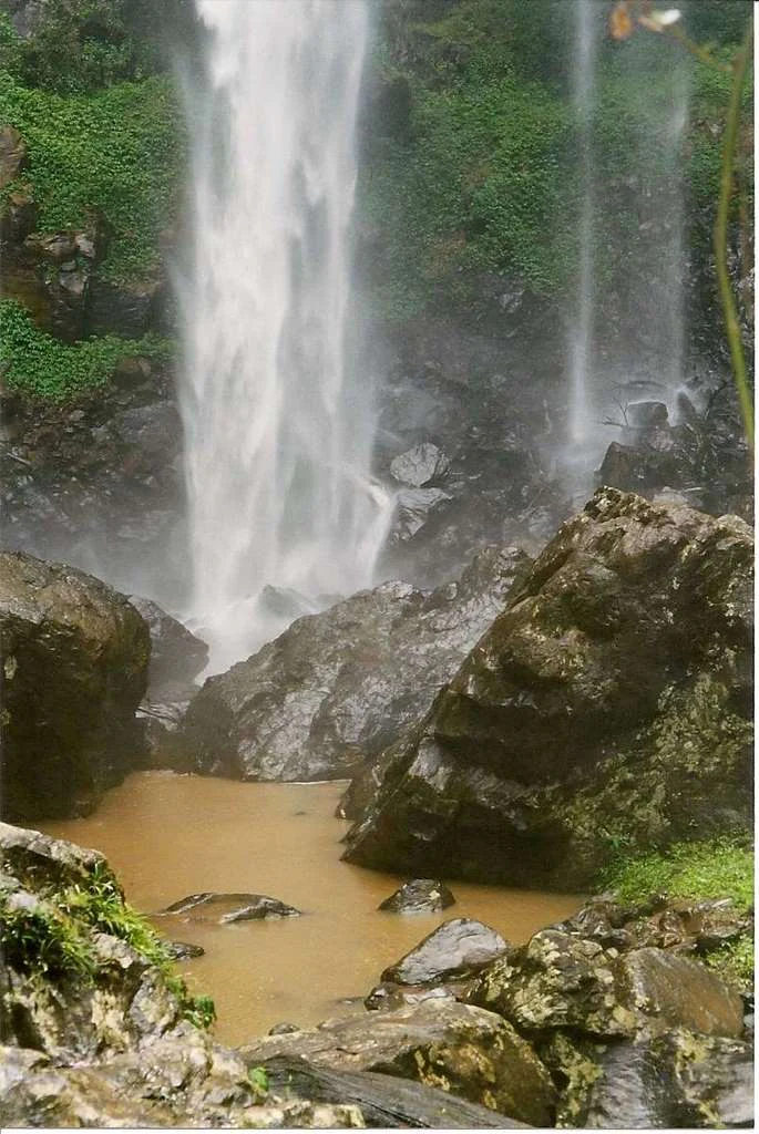 A vertical view of Rawsons Falls plunging into a muddy, rock-lined pool surrounded by lush green rainforest vegetation.