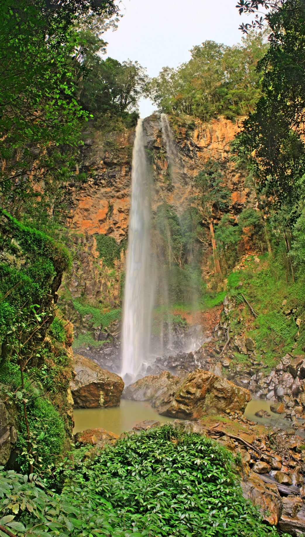 A tall, narrow waterfall cascades down a textured, orange-brown cliff face into a rocky pool, surrounded by dense green temperate rainforest.