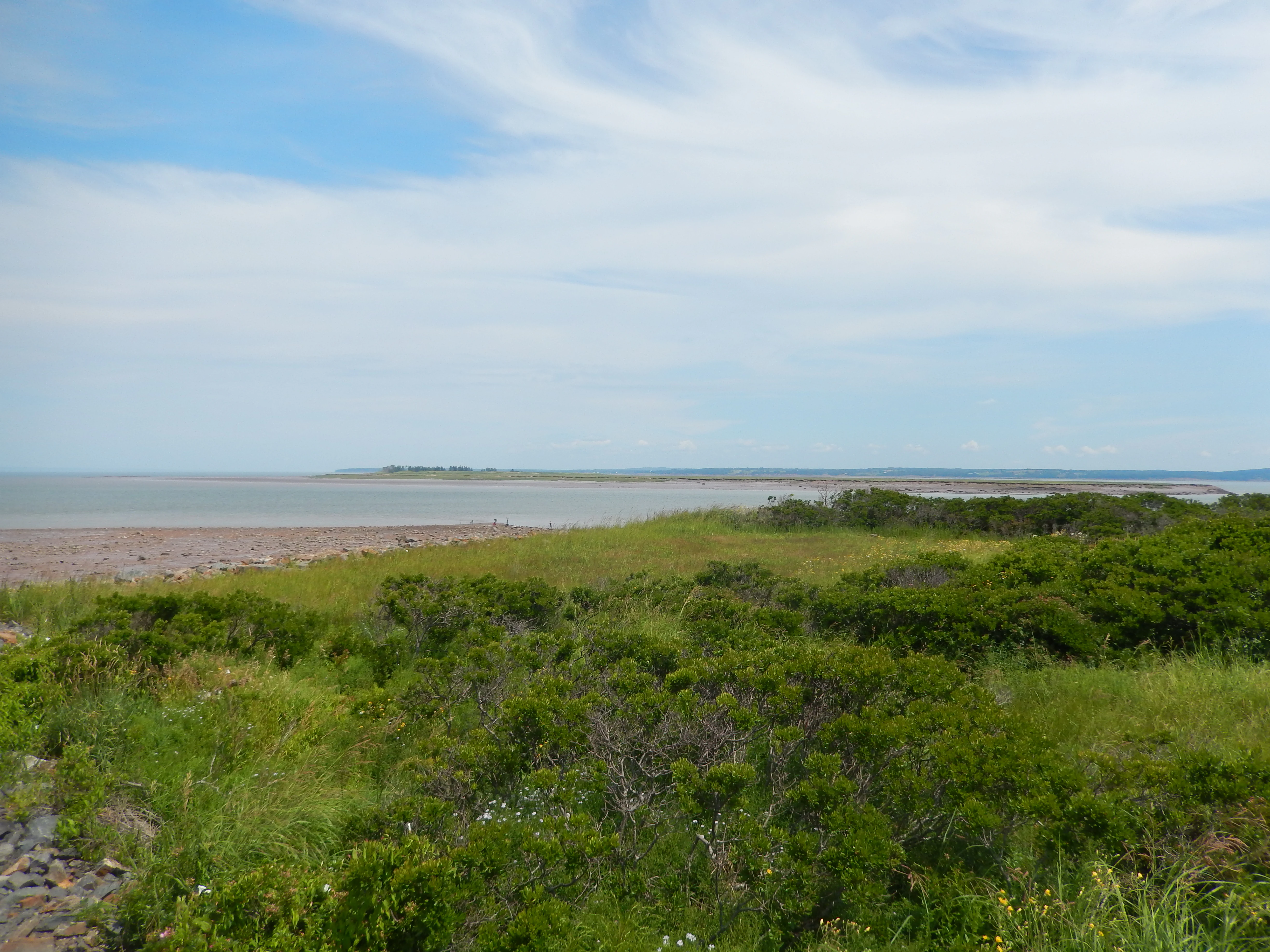 A coastal landscape view showing low-lying green shrubs in the foreground, a sandy beach area, and the ocean under a light blue sky with wispy clouds.