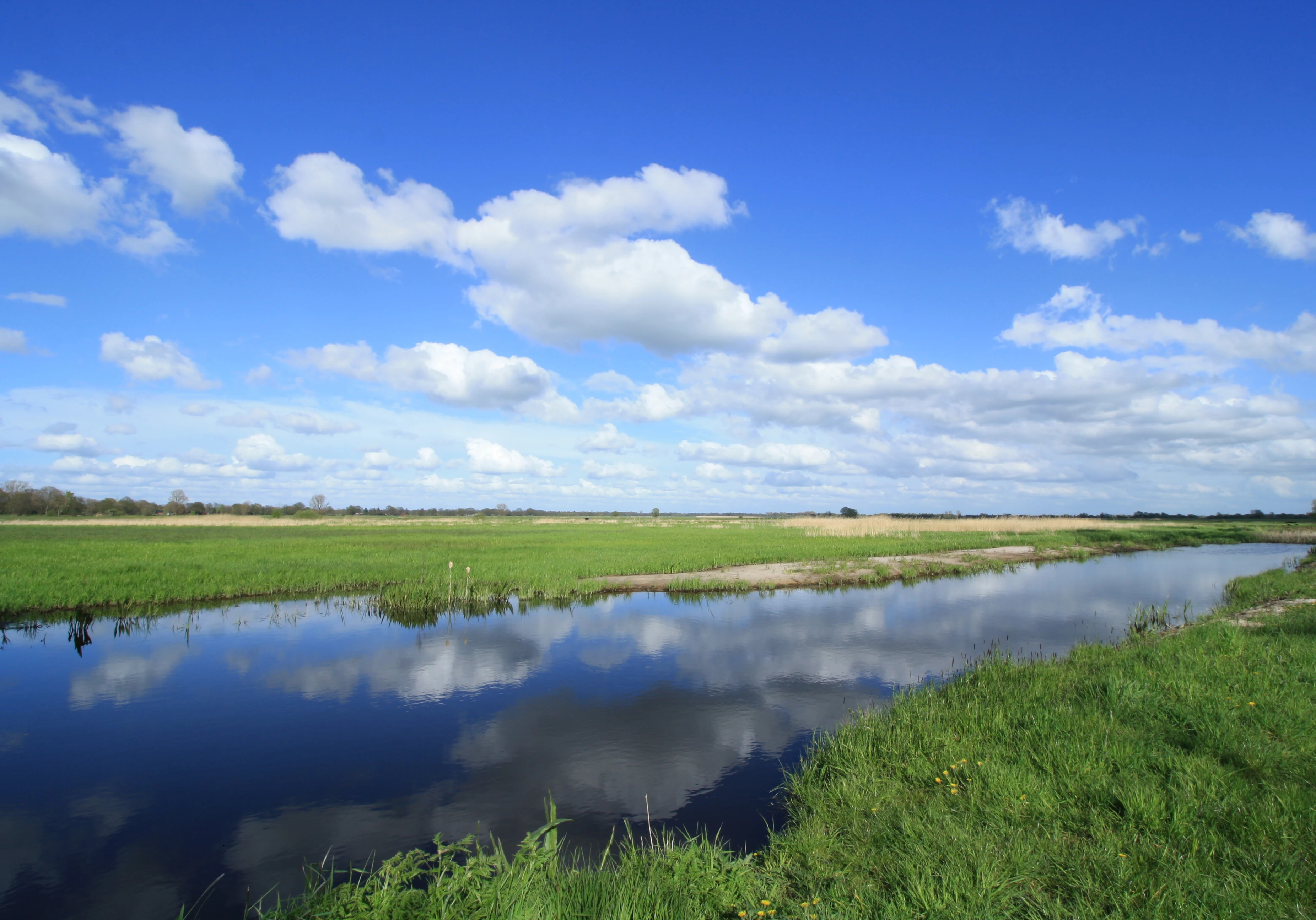 A horizontal landscape photograph of the Borgfelder Wümmewiesen nature reserve, showing a calm stream in the foreground reflecting the bright blue sky and clouds, bordered by flat, vibrant green grassy meadows stretching to the horizon.