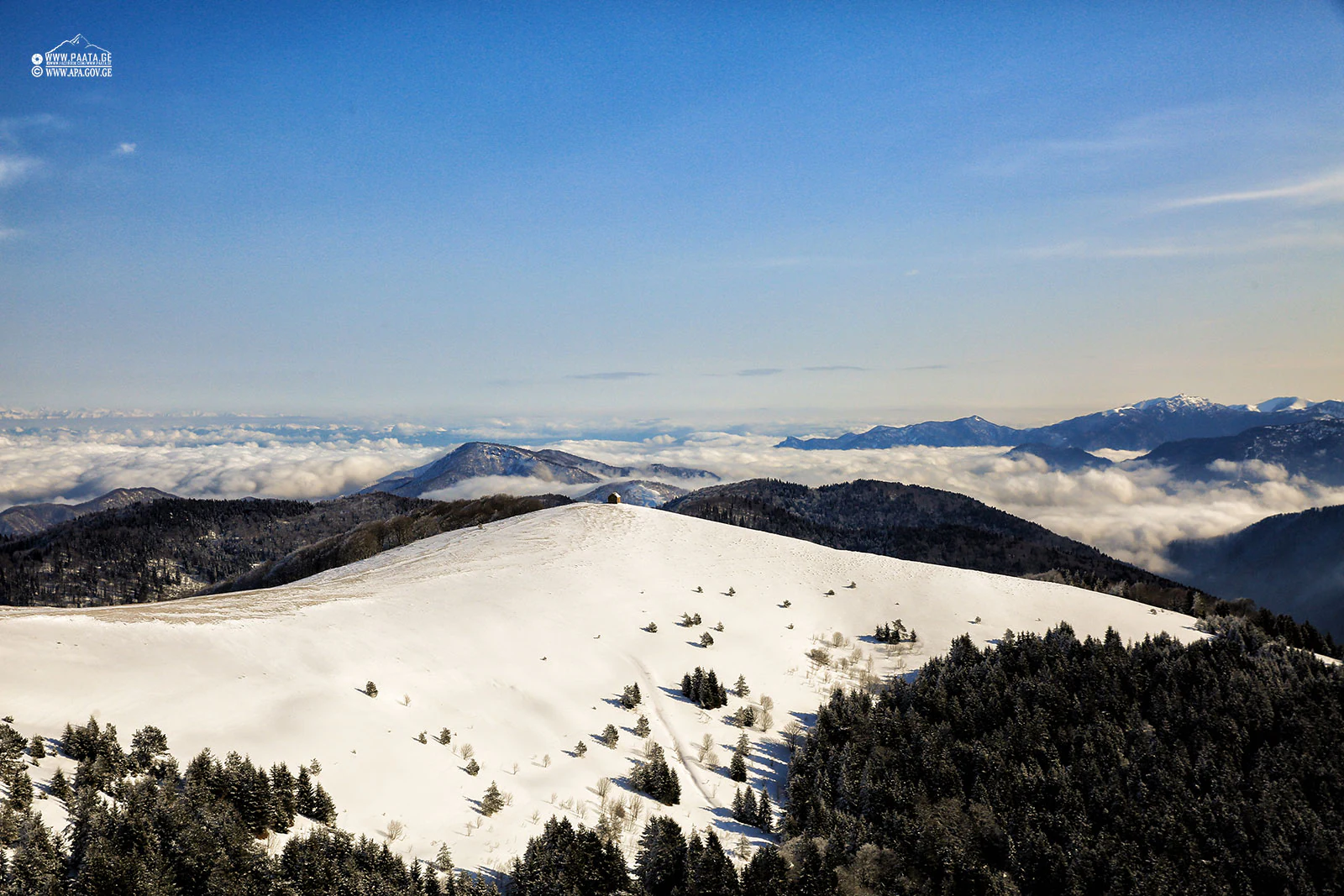 Snow-covered mountain peak with forested slopes, distant mountains, and clear blue sky
