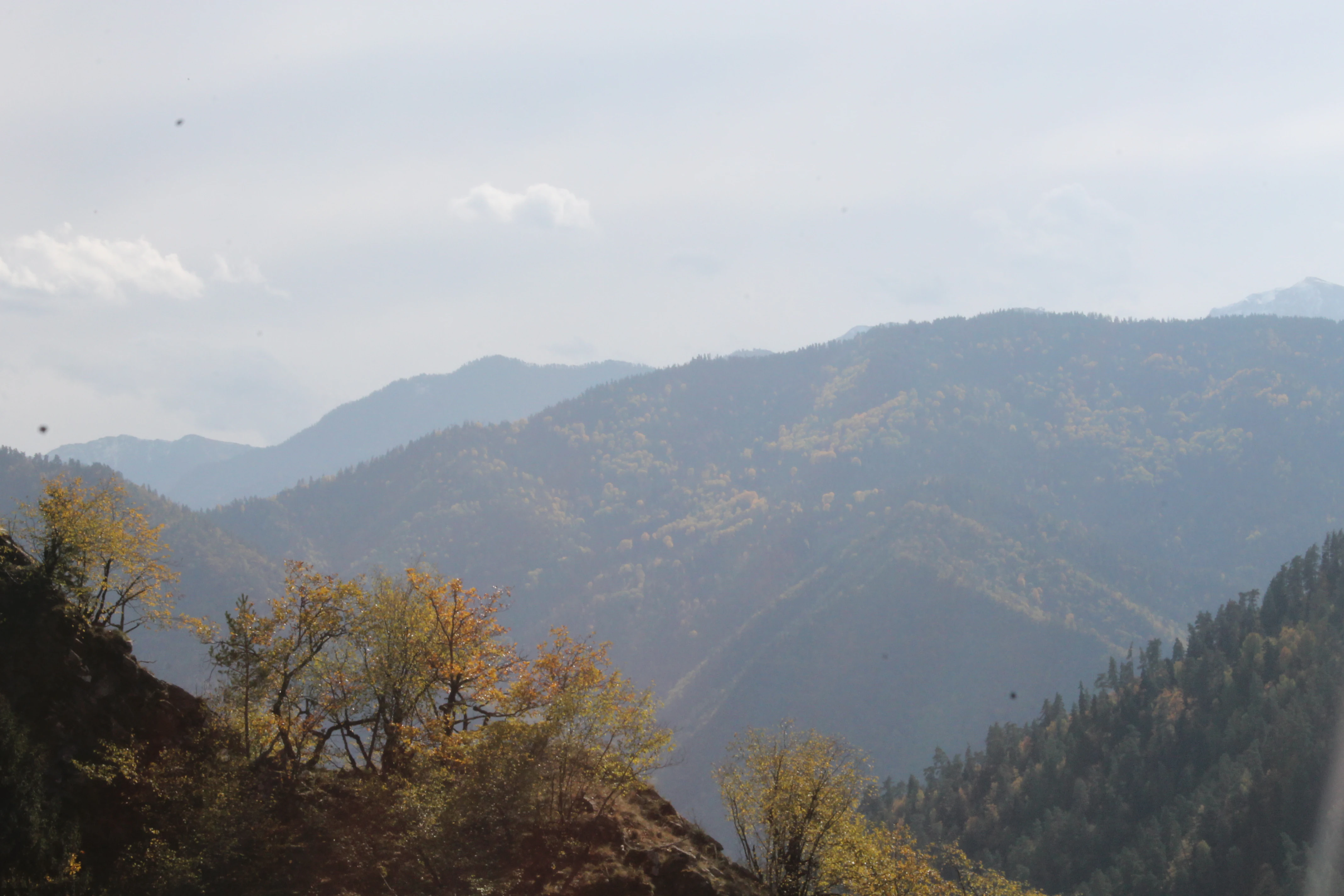Landscape view of rolling mountains with scattered trees showing autumn colors under a partly cloudy sky