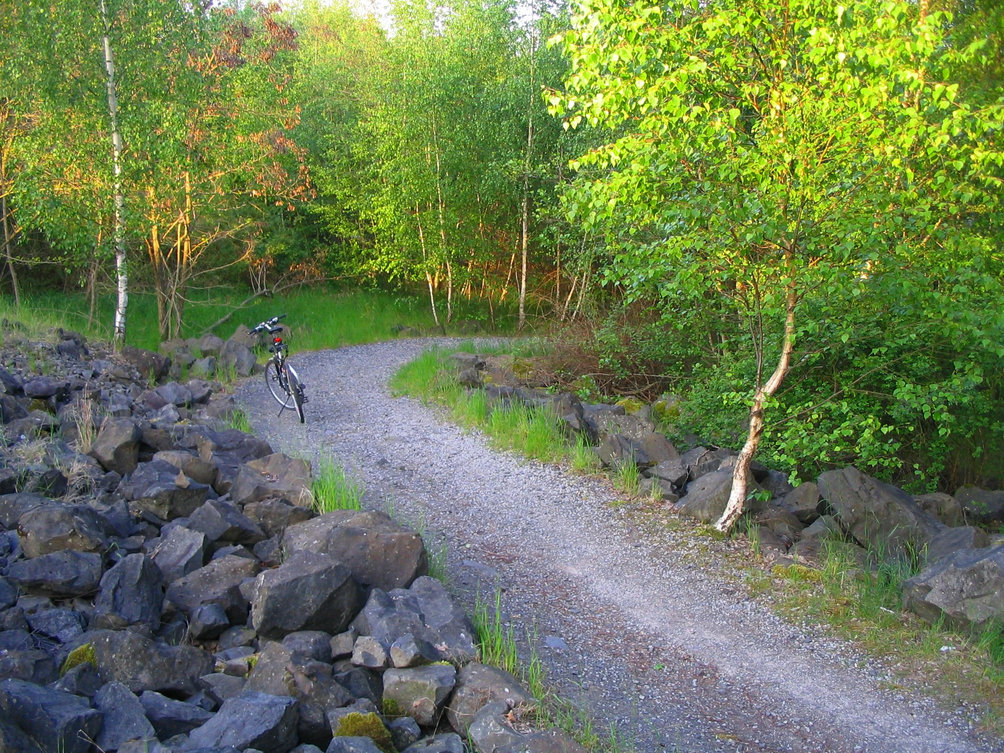 Borkener See circular path