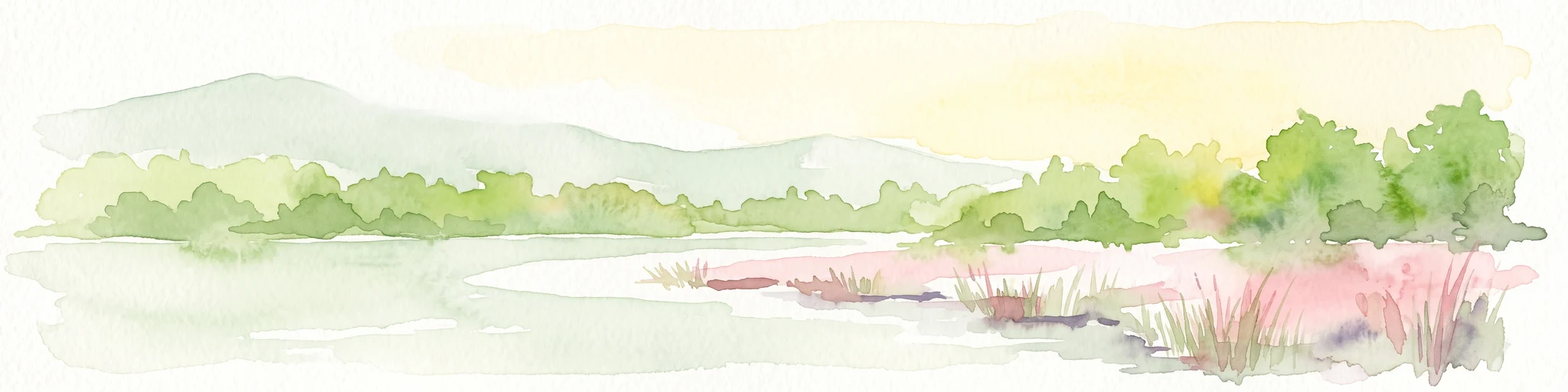 A pale, soft-toned watercolor painting of a calm lake shore with marshy grasses in the foreground and a line of green trees and rolling hills in the background.