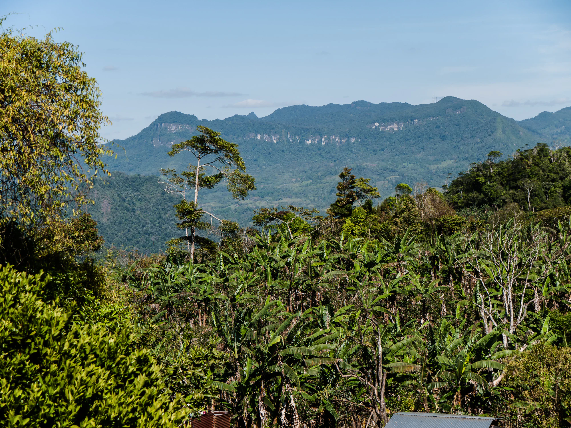 A wide view of a lush green landscape featuring tropical vegetation in the foreground and a series of forested mountain ridges in the distance under a clear blue sky.