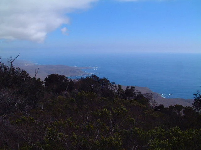 A scenic view showing a forested hillside leading to a coastal area with the ocean under a partly cloudy sky