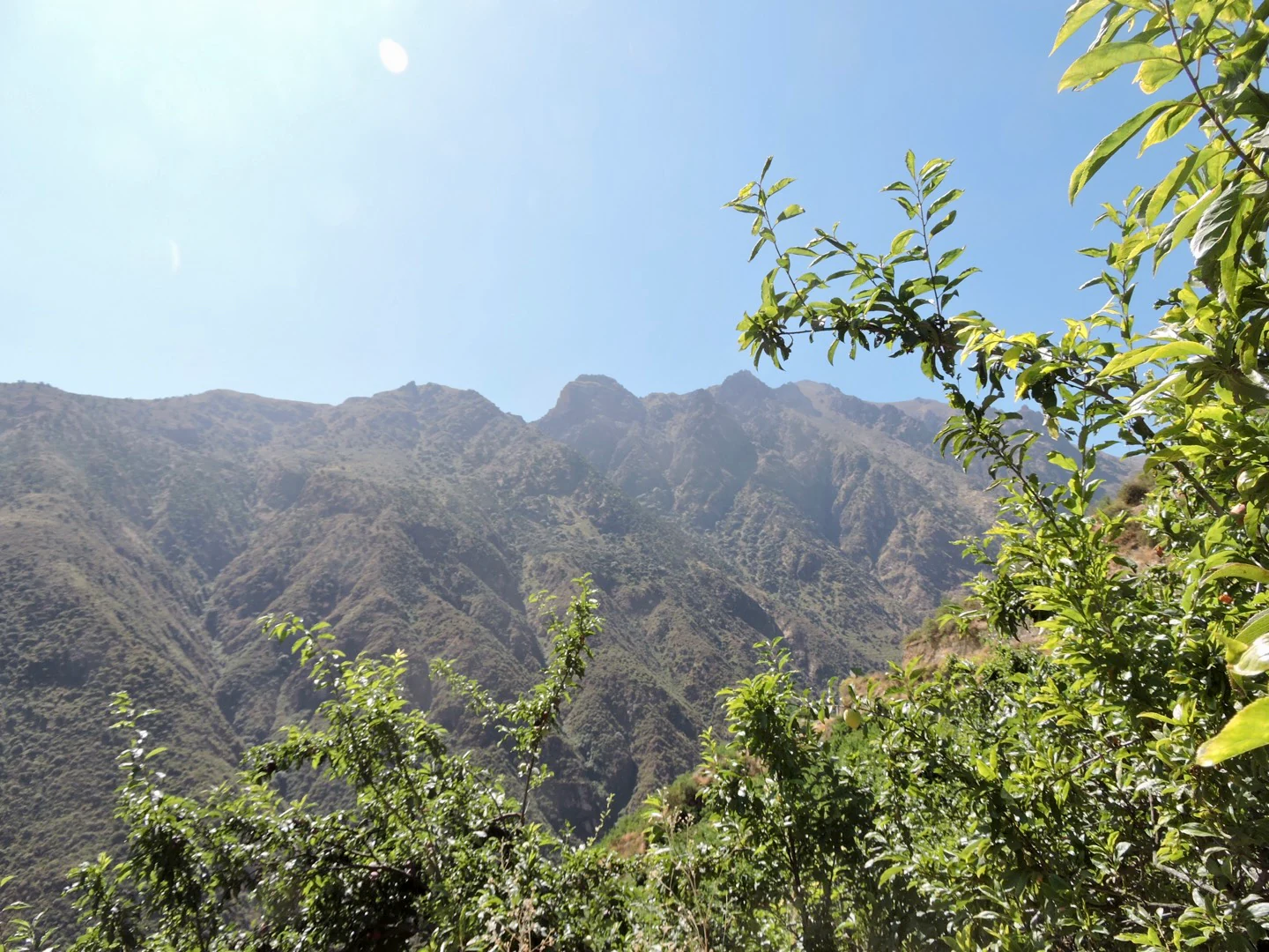 A mountainous landscape with dry, steep slopes and sparse vegetation, framed by green leafy branches in the foreground under a clear sky.