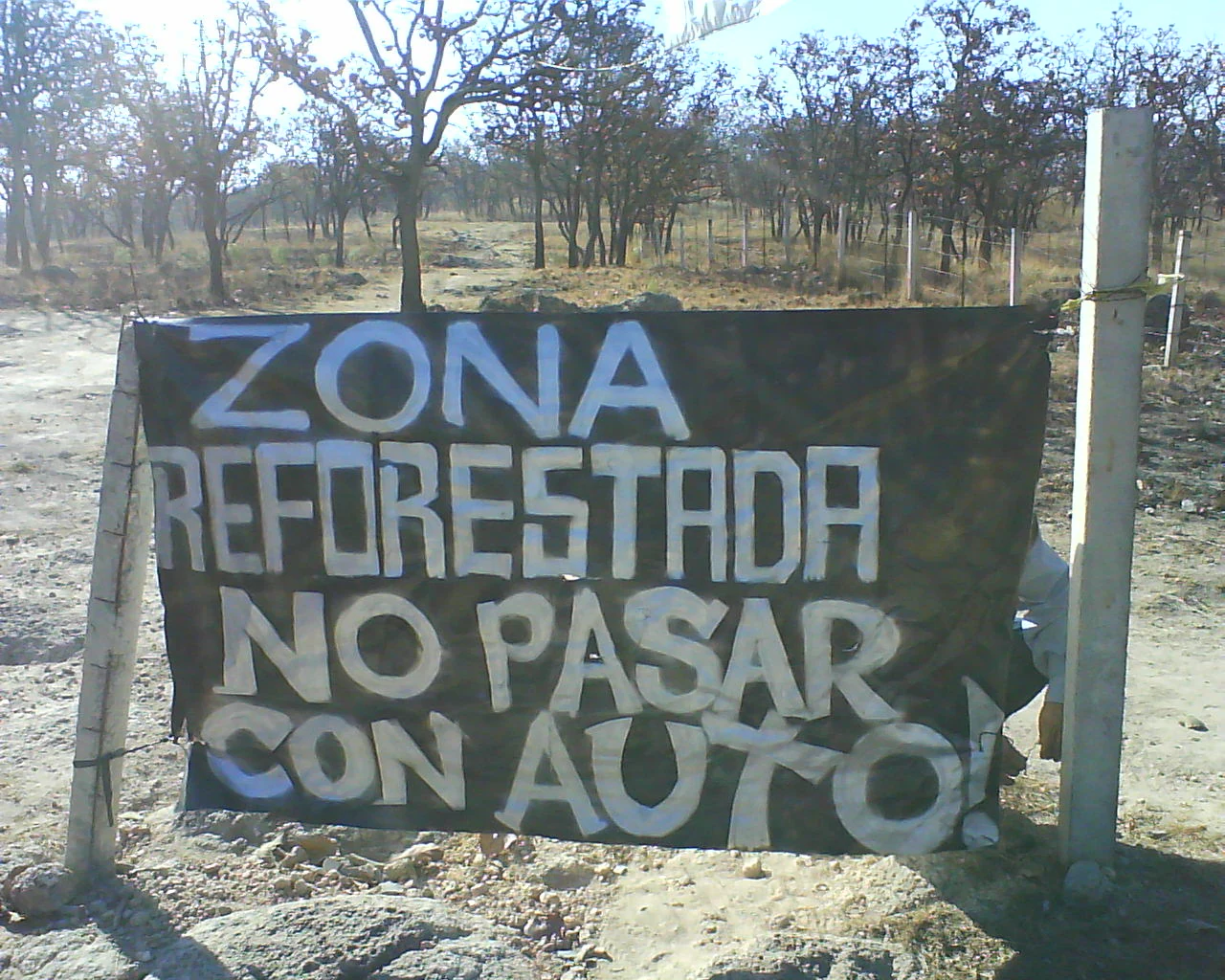 A horizontal black sign with white hand painted text that reads ZONA REFORESTADA NO PASAR CON AUTO! attached to two posts in a dry, open woodland area.
